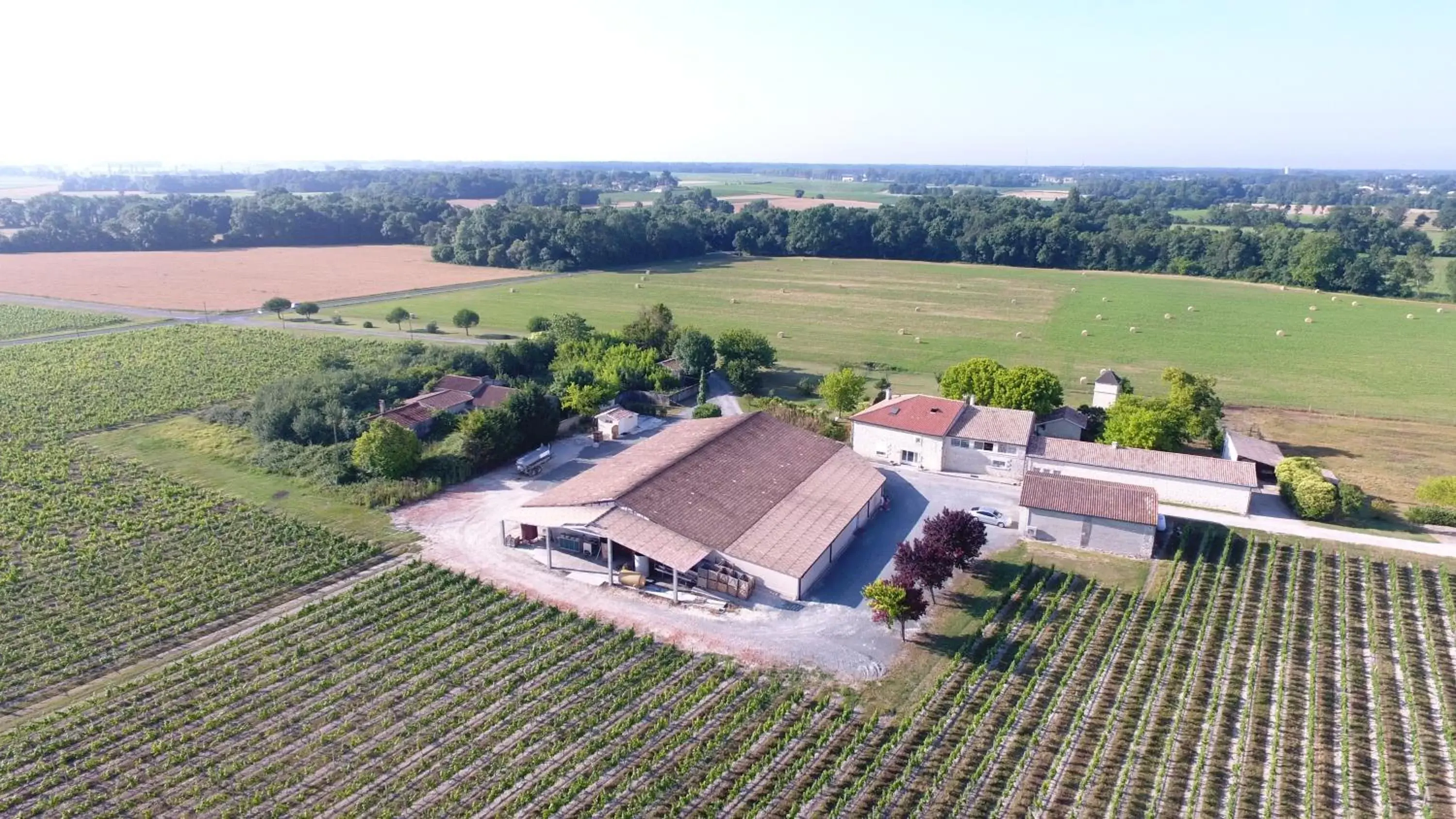 Bird's eye view, Bird's-eye View in Chambres d'Hôtes Château Pierre de Montignac