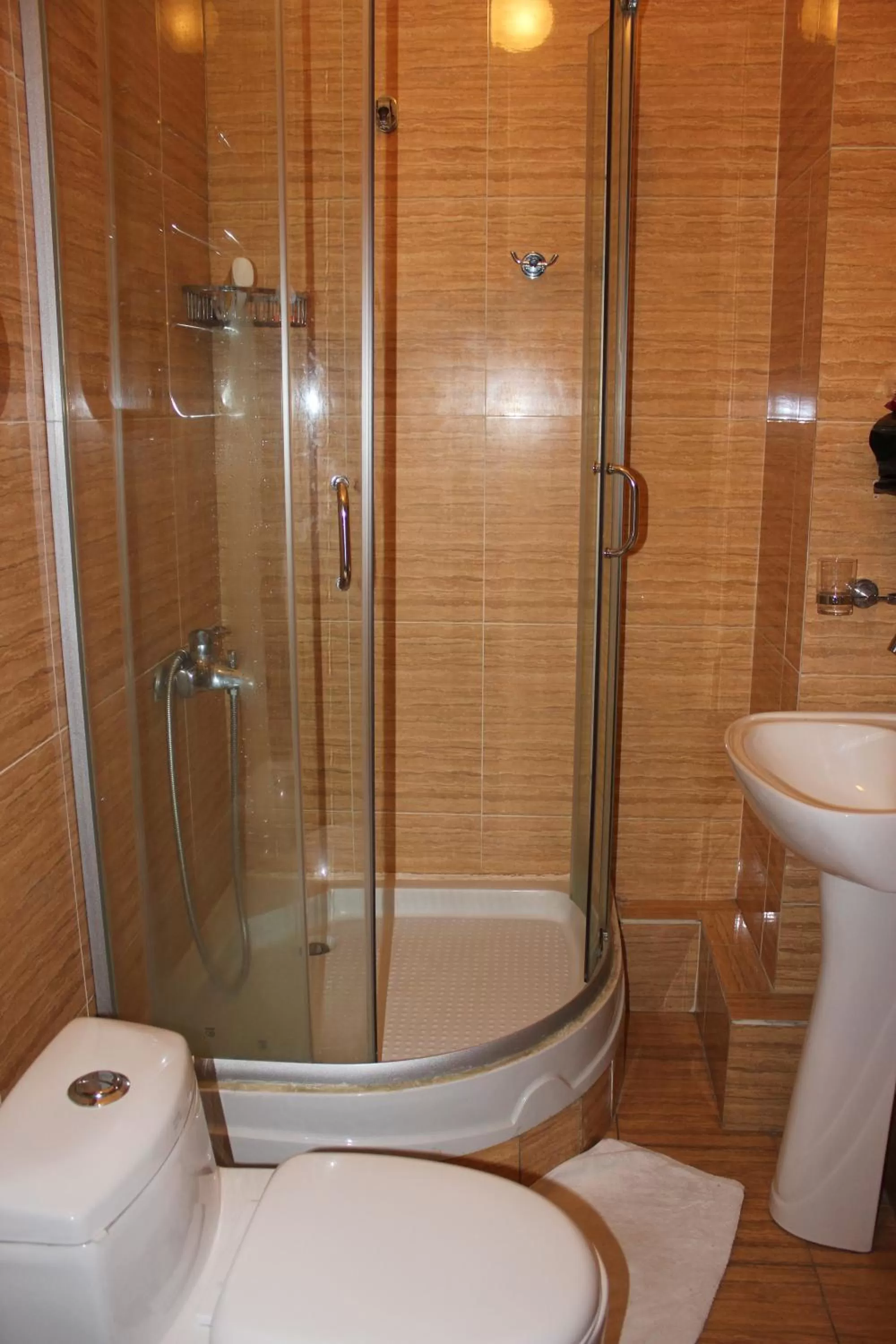 Shower, Bathroom in Tsolmon's Serviced Apartments
