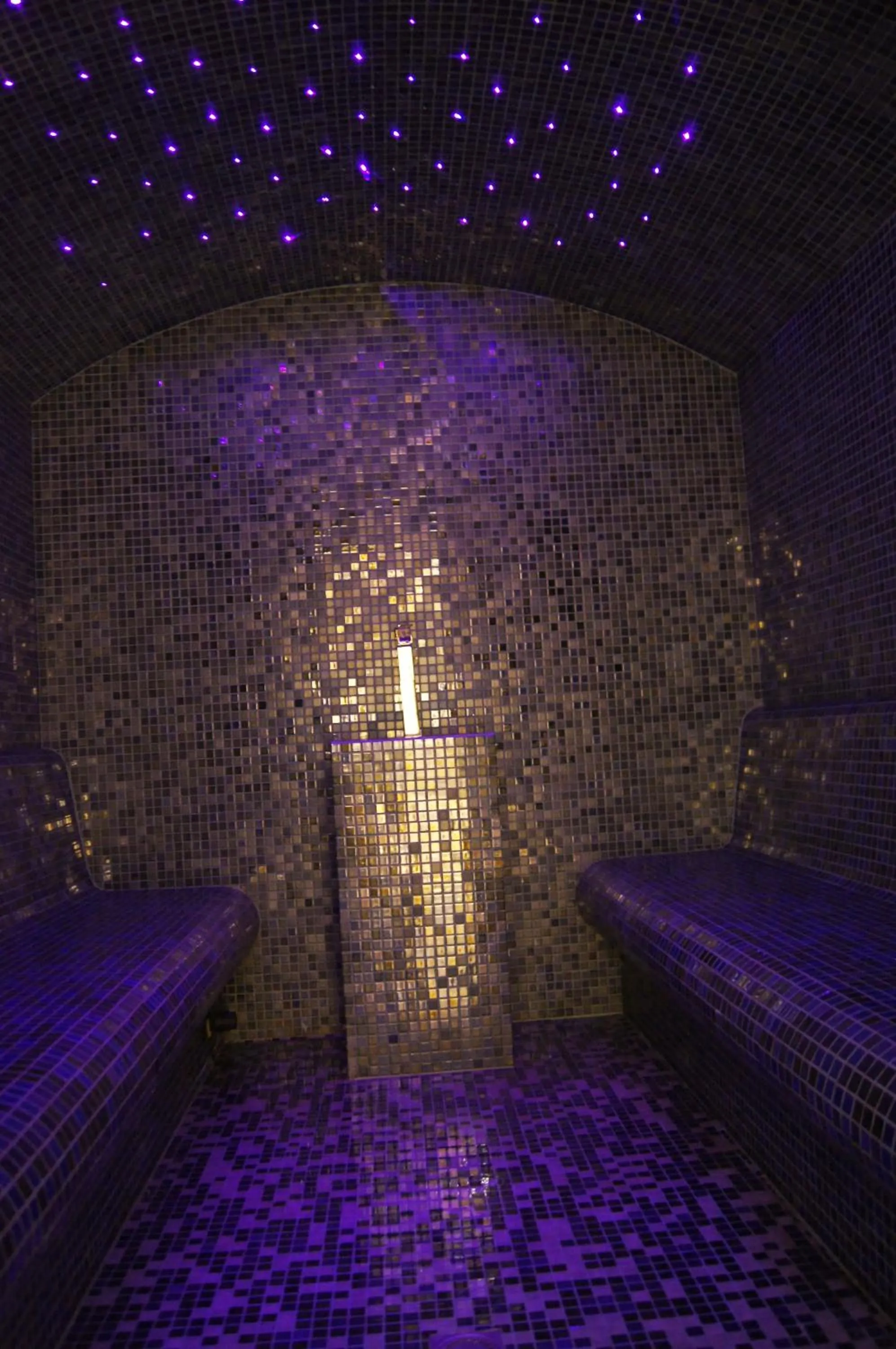 Spa and wellness centre/facilities in La Villa Mazarin