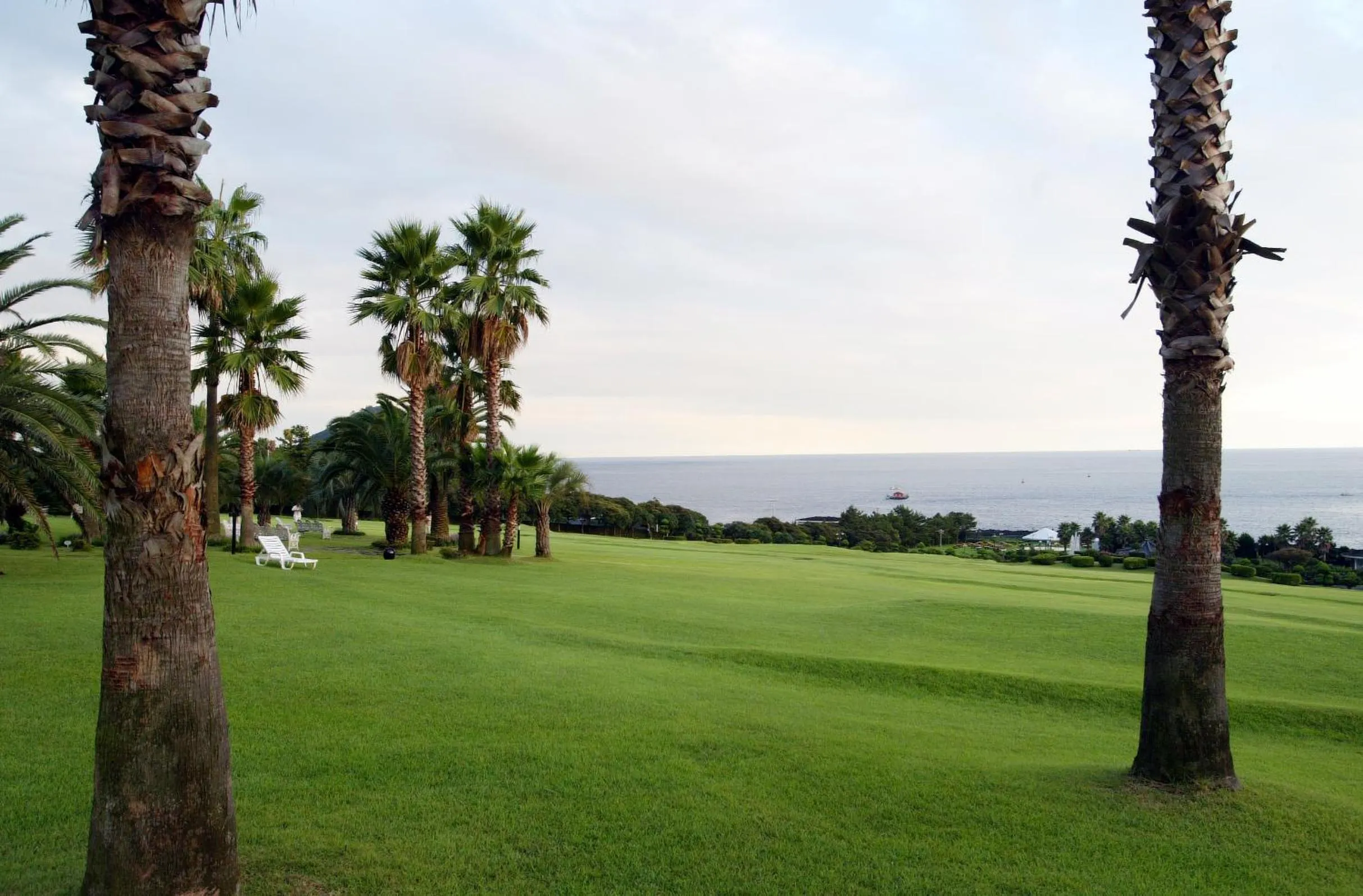 Garden in Seogwipo KAL Hotel