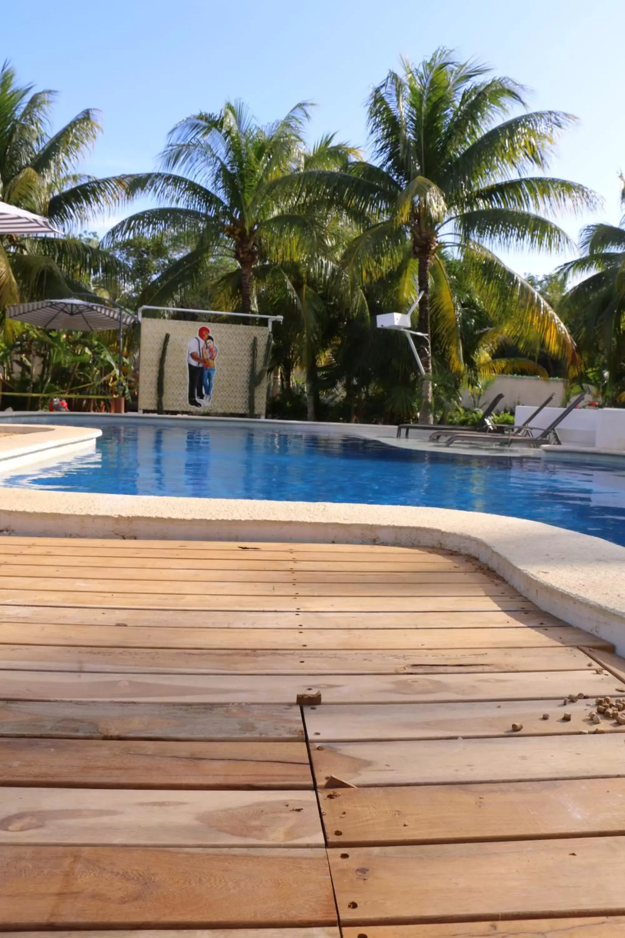 Garden, Swimming Pool in WishTulum