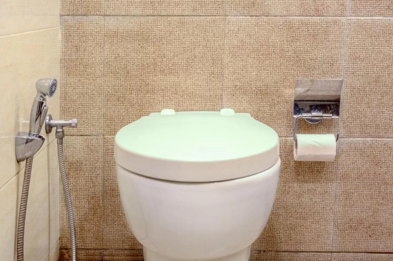 Bathroom in Hotel Dreamland Chandigarh