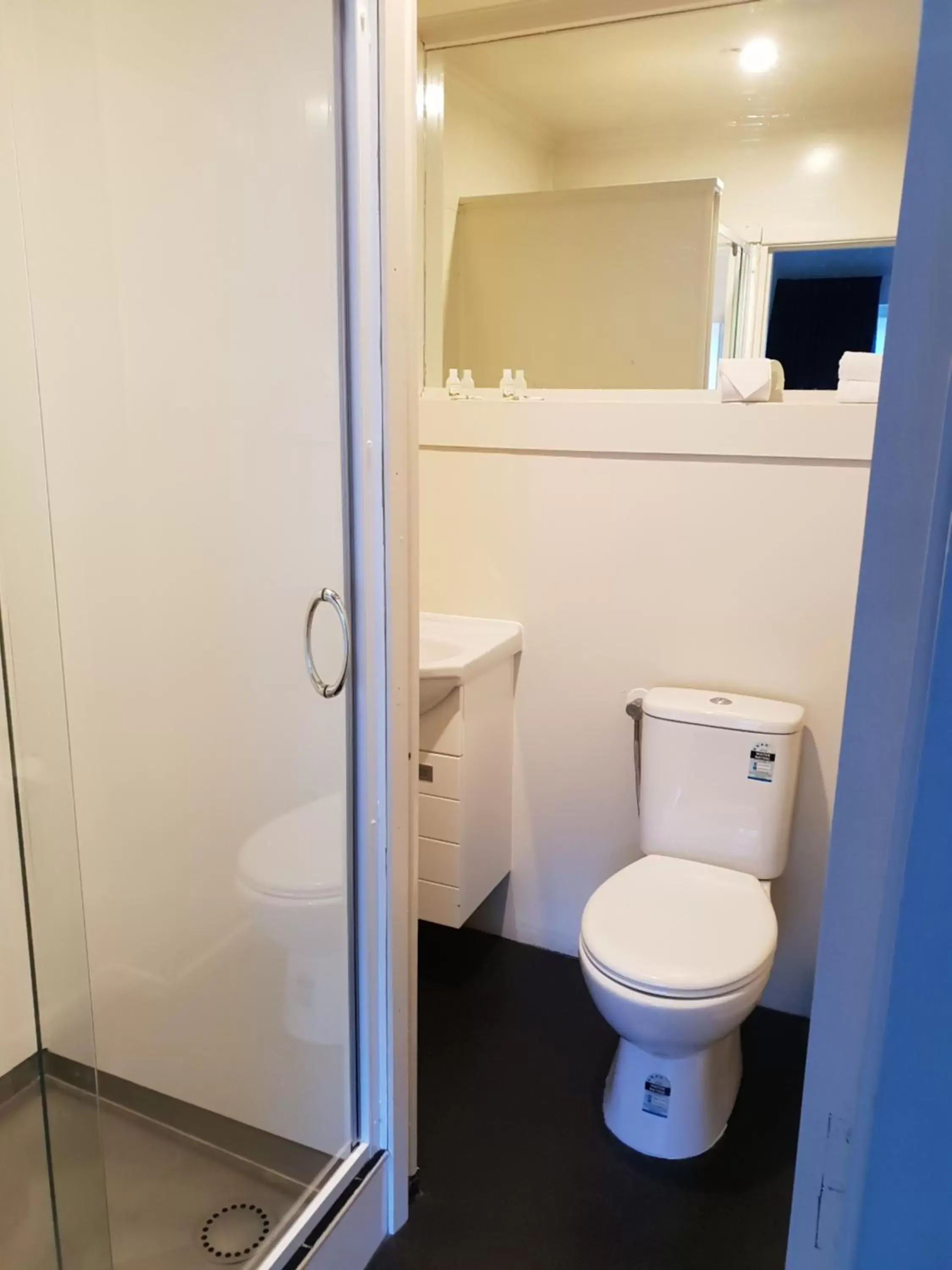 Toilet, Bathroom in New Orleans Hotel