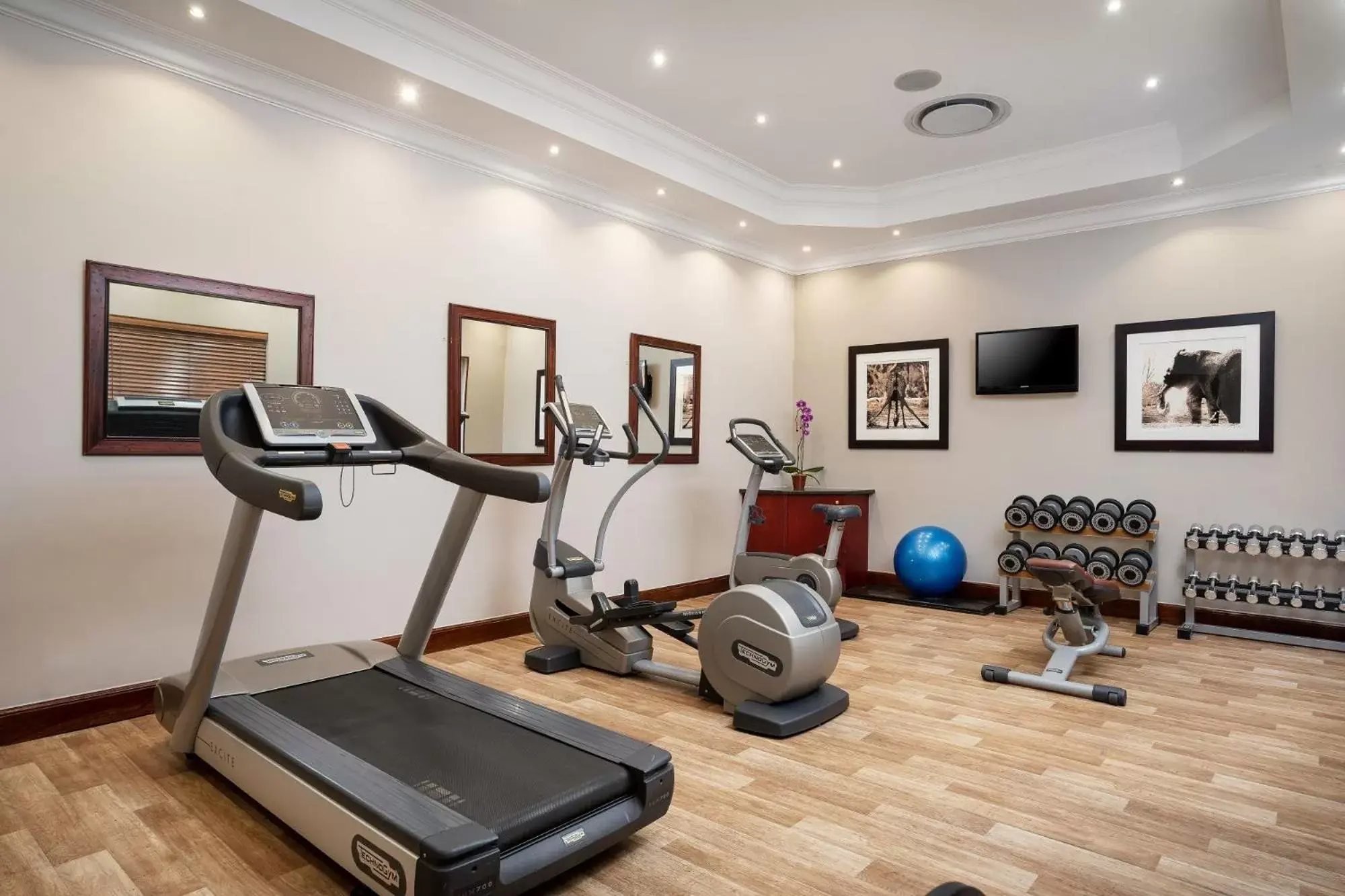 Fitness centre/facilities, Fitness Center/Facilities in Premier Hotel Quatermain