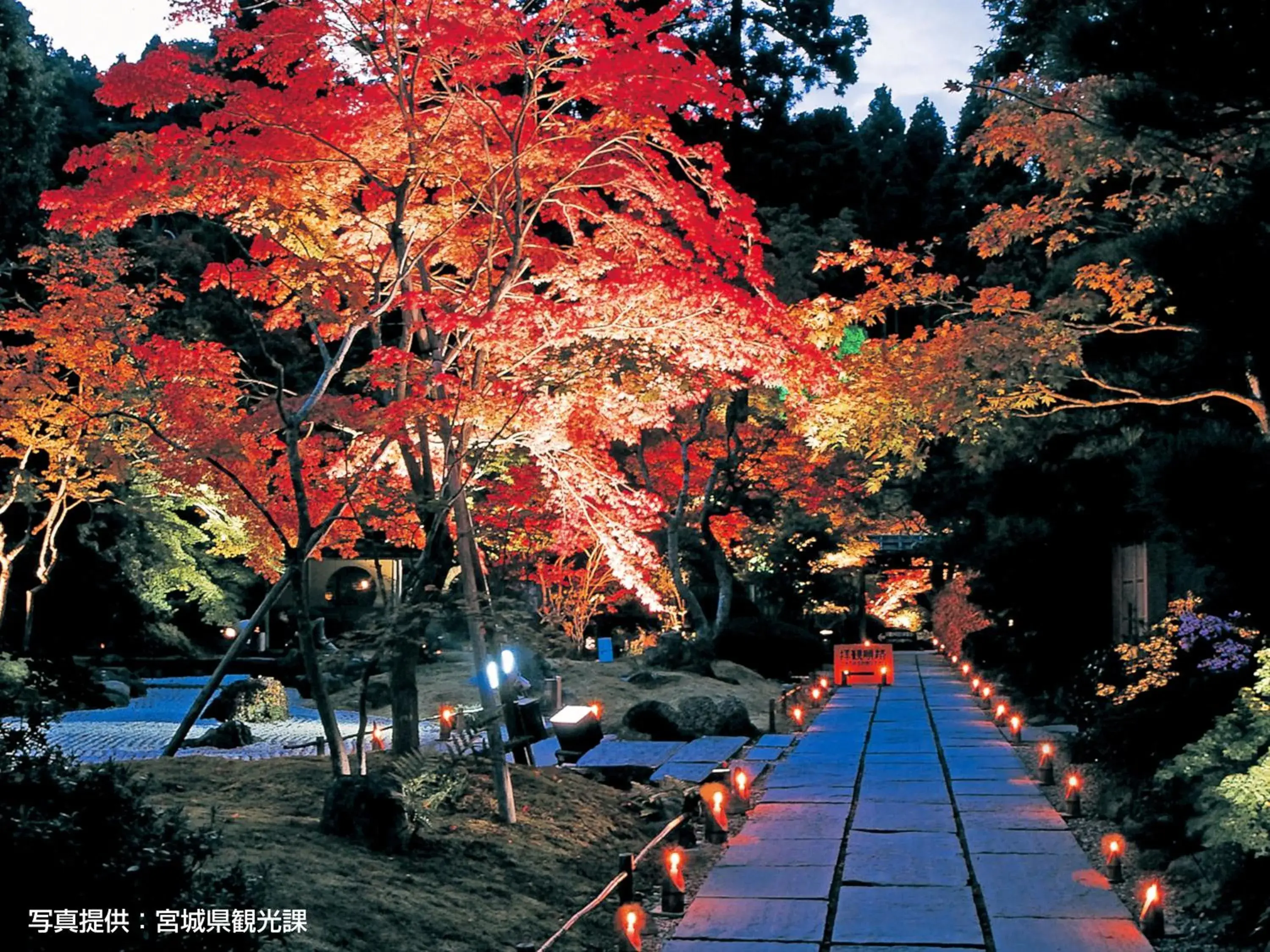 Night, Garden in Hotel Green Mark