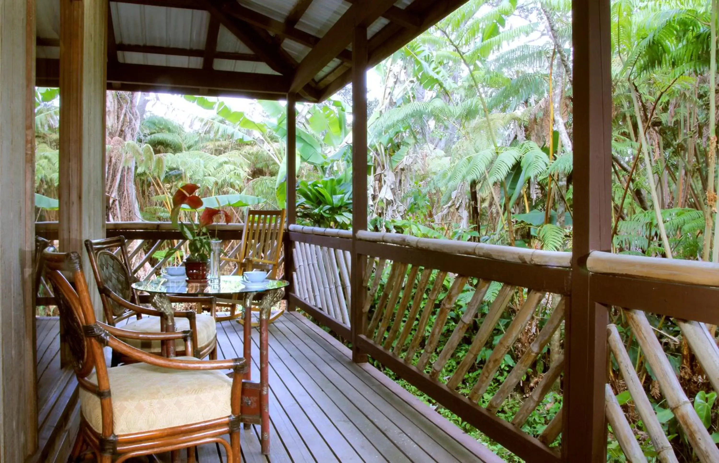 Patio, Balcony/Terrace in Lotus Garden Cottages