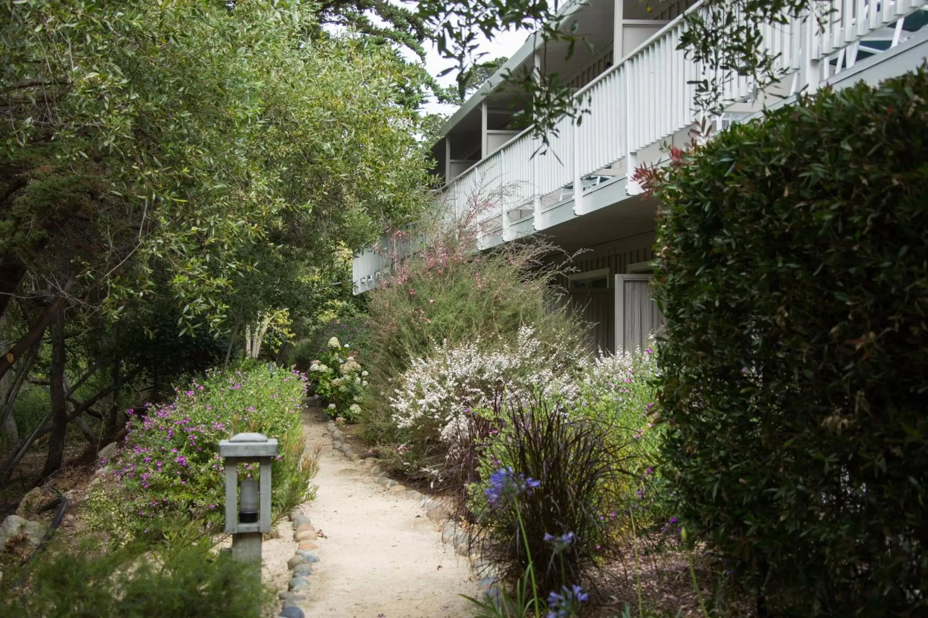 Other, Property Building in Carmel River Inn