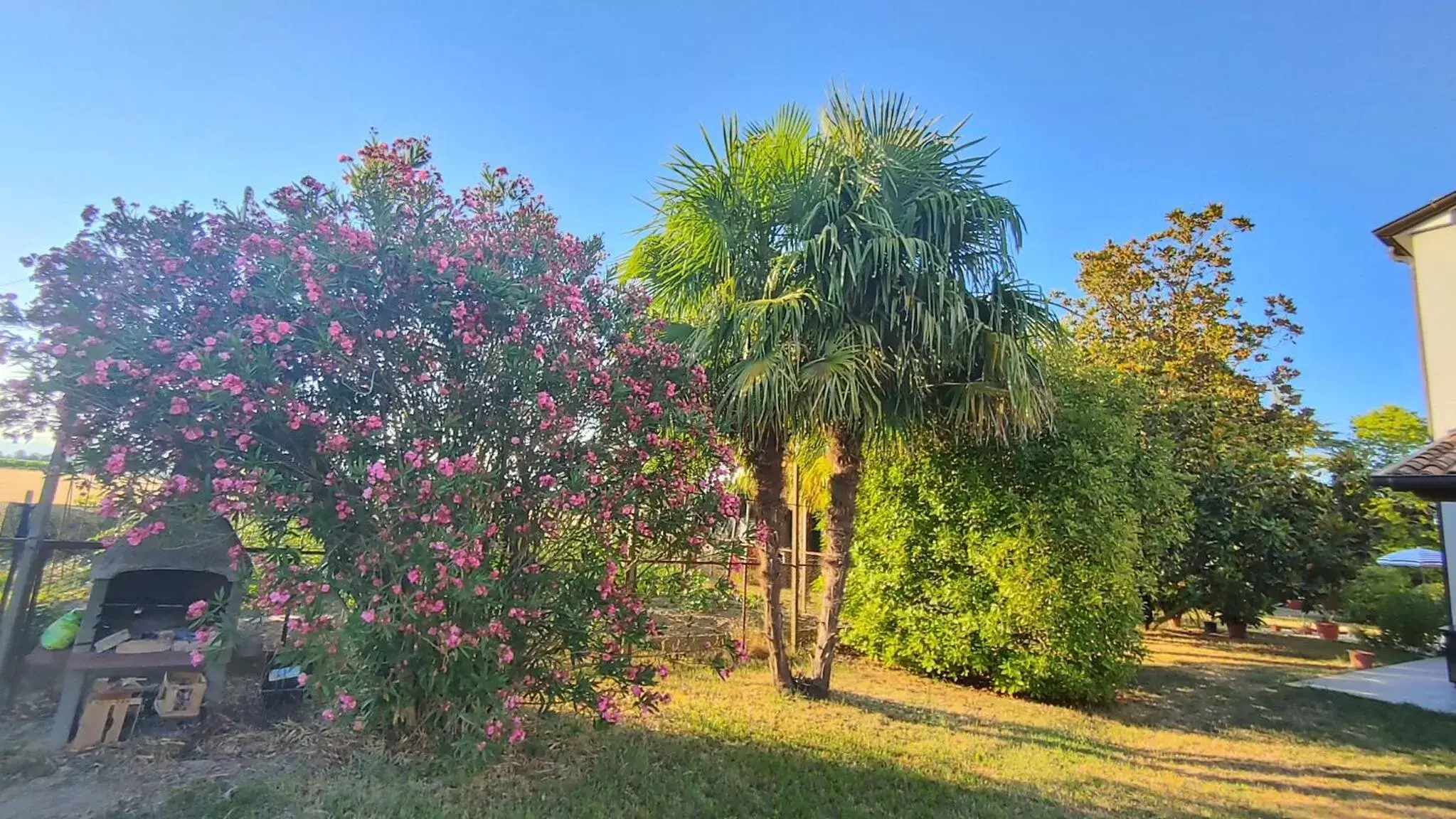 Garden in B&B Al Vecio Morer