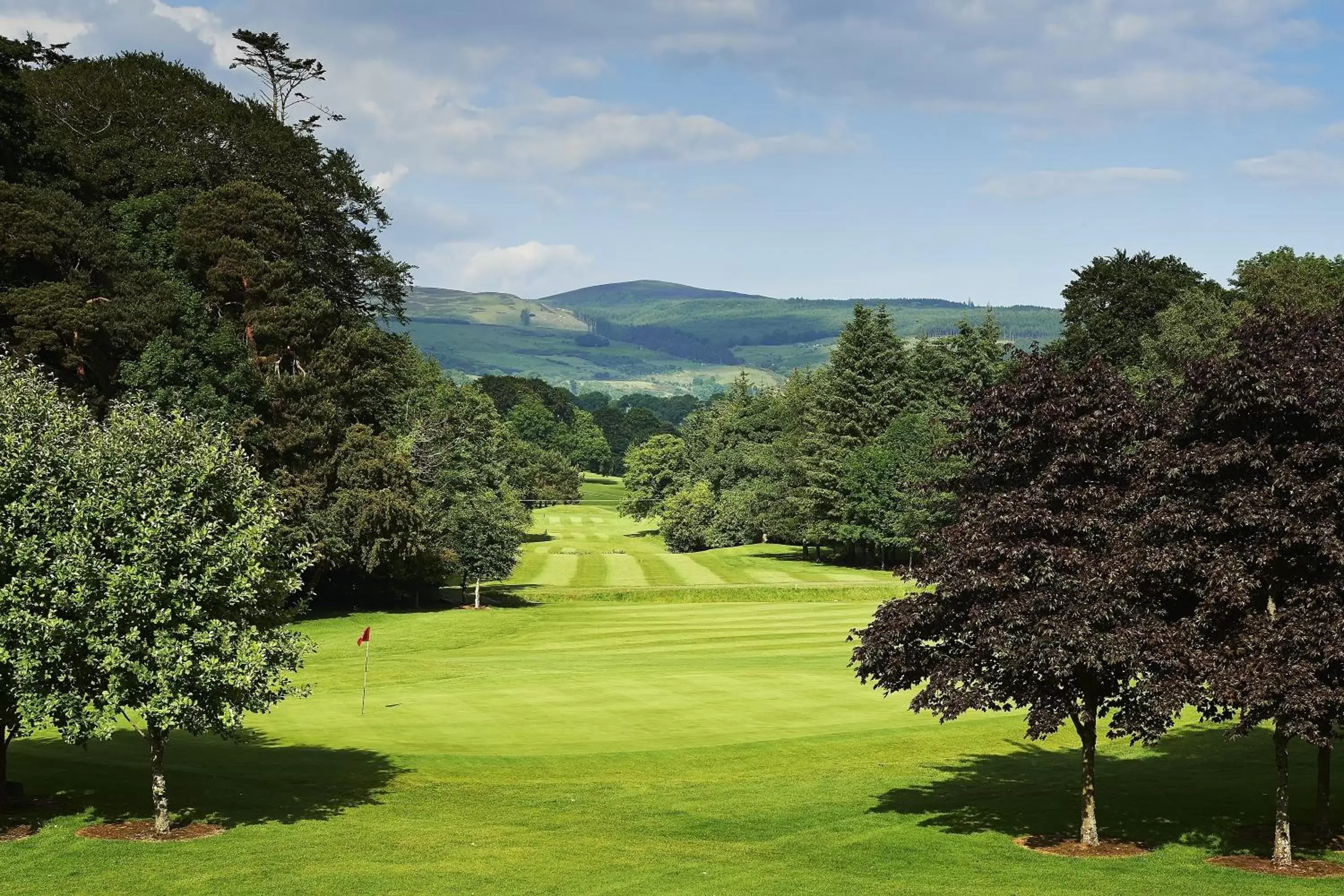 Golfcourse in Ballymascanlon Hotel and Golf Resort