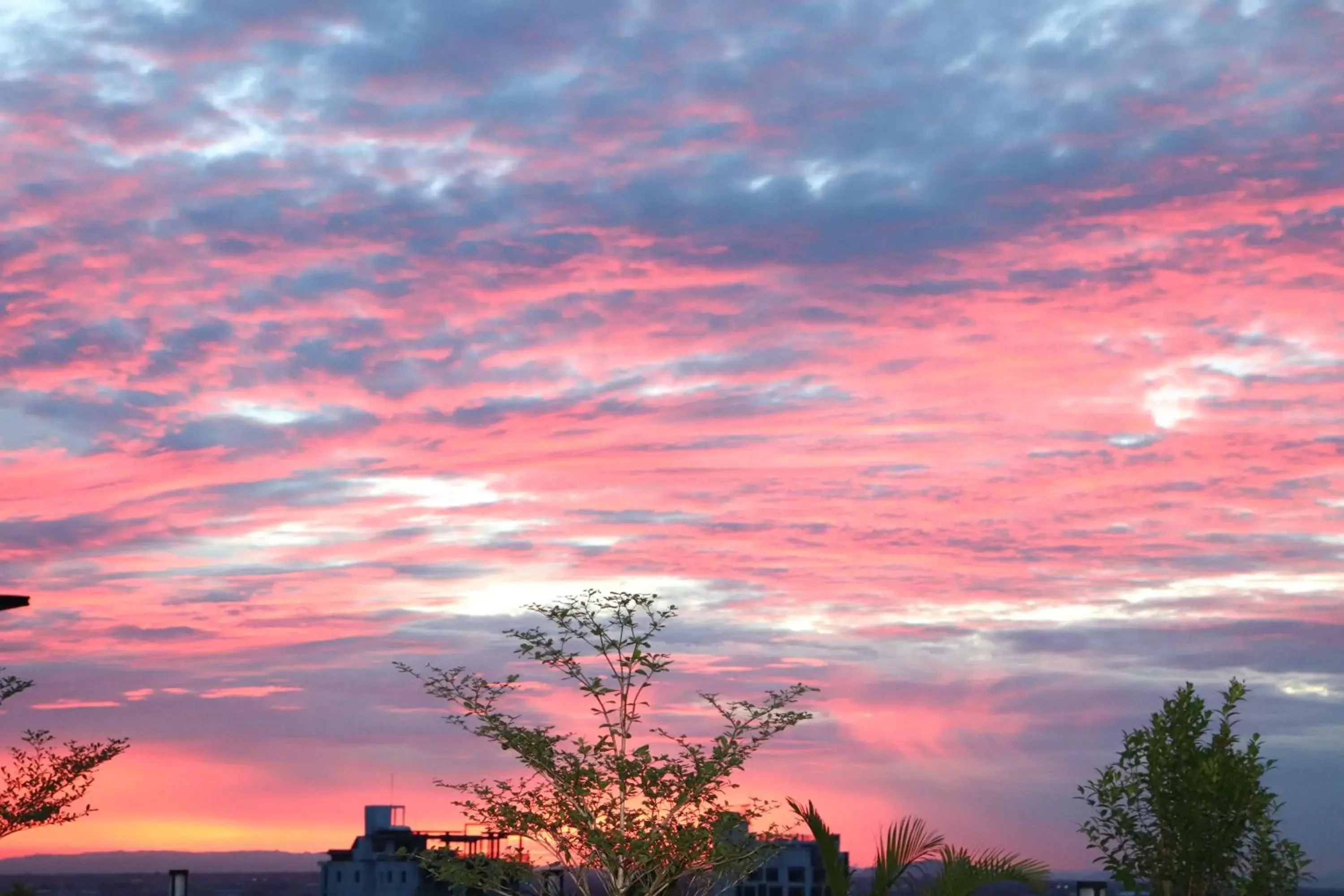 Sunrise, Sunrise/Sunset in Sun Apartment