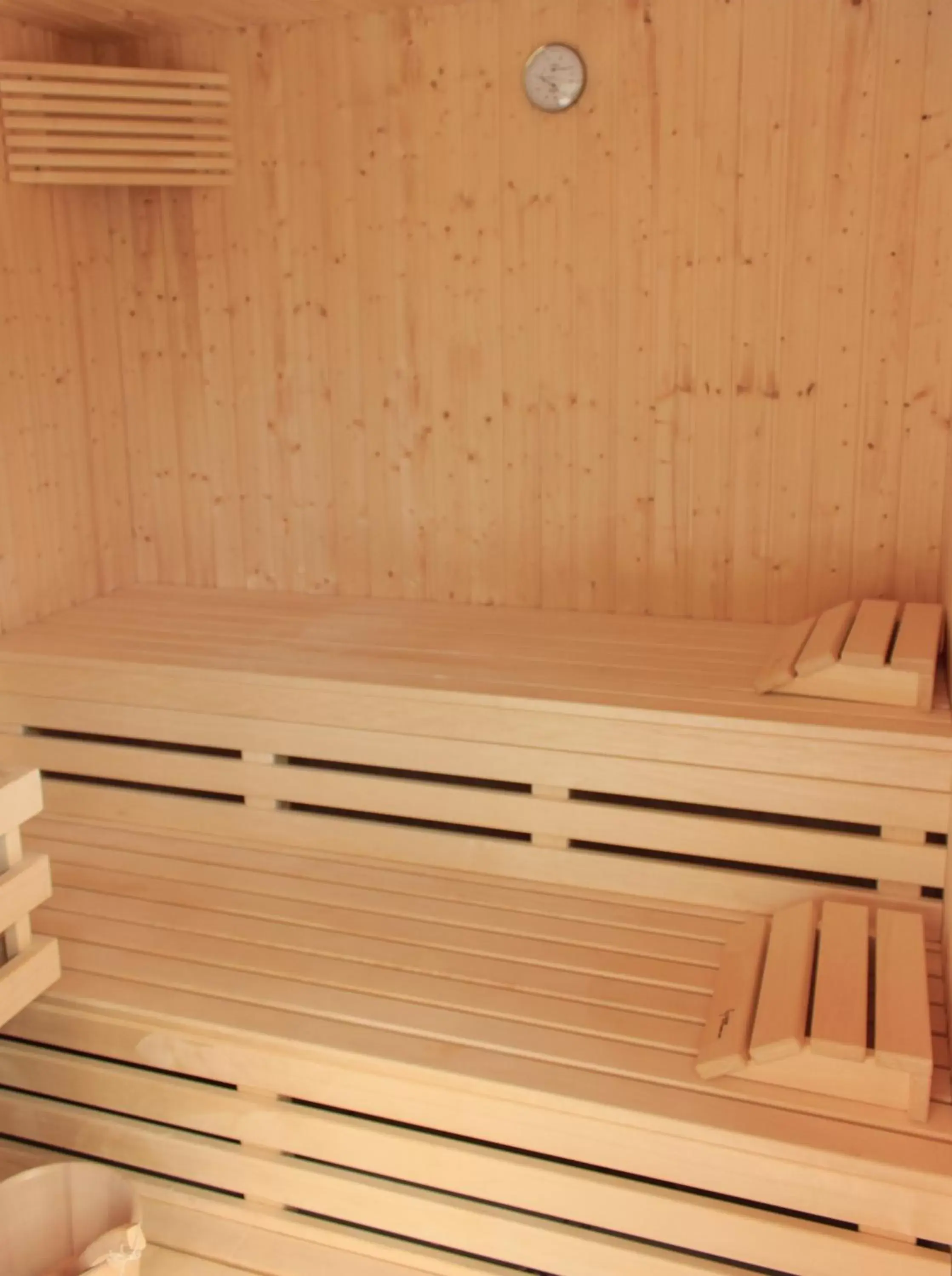 Sauna in Les Carmes and spa