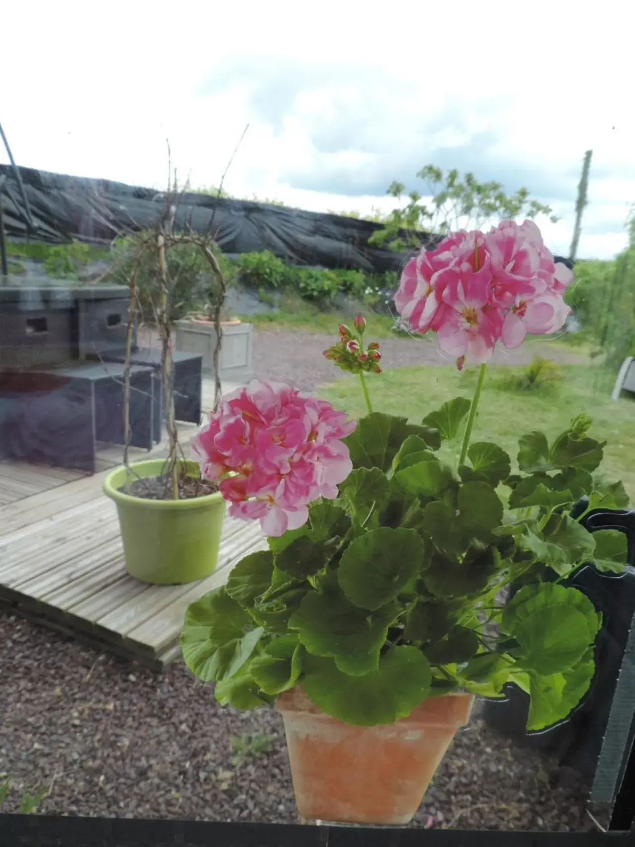 Garden view in Villa Des Hortensias