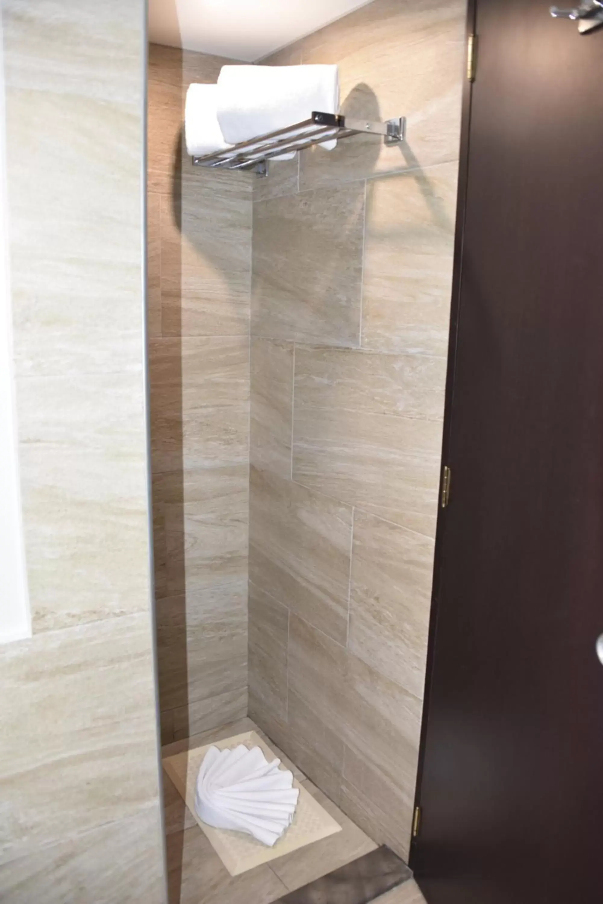 Shower, Bathroom in Hotel Royal Reforma