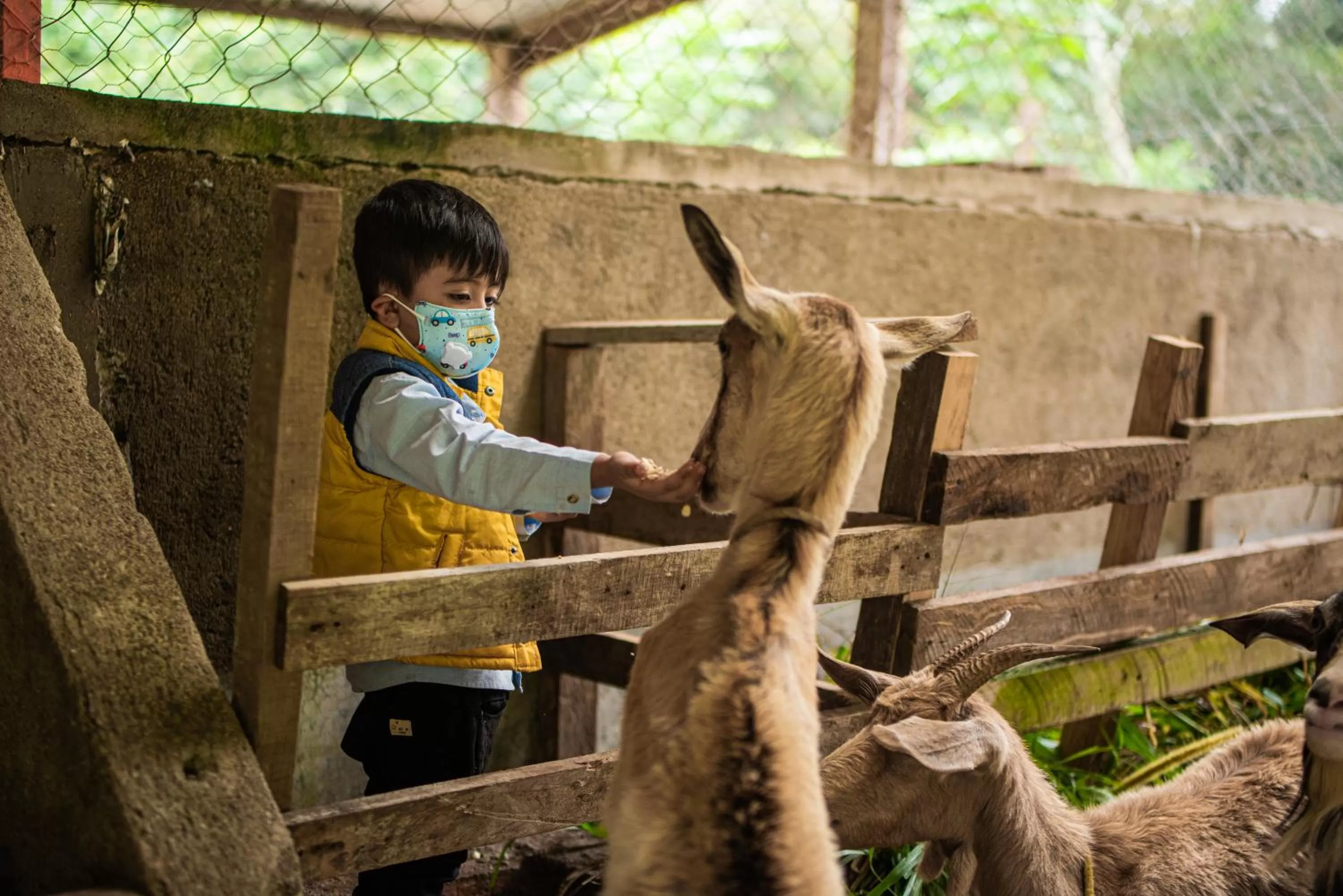 Animals in Hotel de Campo Villa de Ada