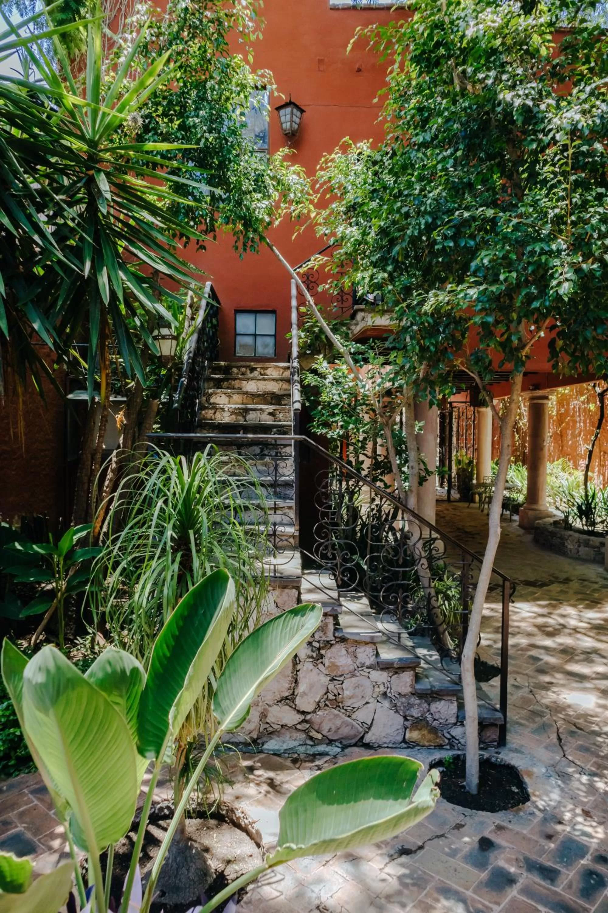 Garden in Casa Luna Hotel Boutique