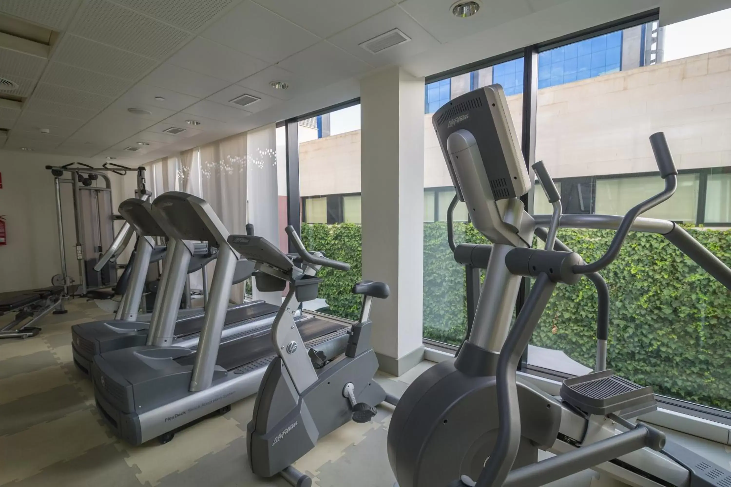 Fitness centre/facilities, Fitness Center/Facilities in Occidental Murcia Agalia