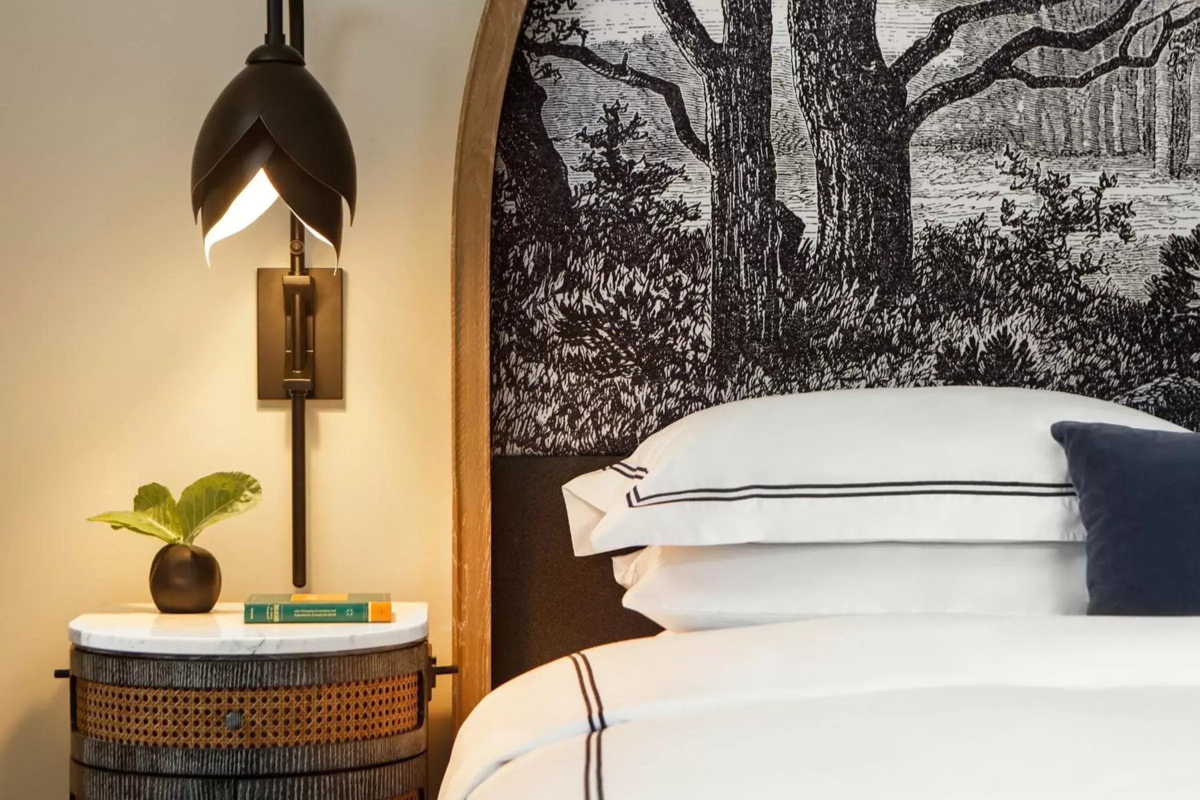 Photo of the whole room, Bed in Kimpton Cottonwood Hotel by IHG Photo of the whole room, Bed in Kimpton Cottonwood Hotel by IHG