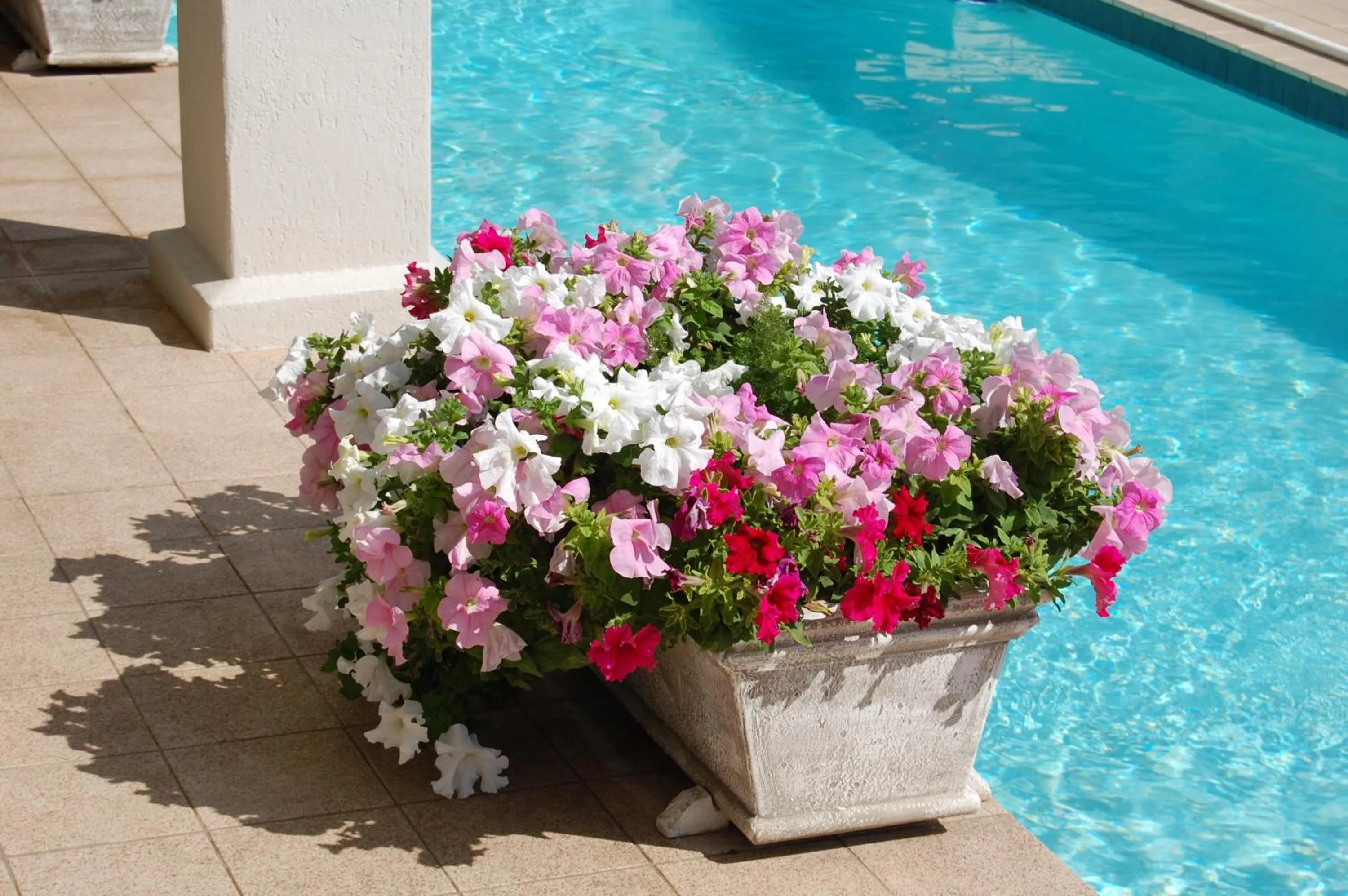 Garden in Sandals Guest House