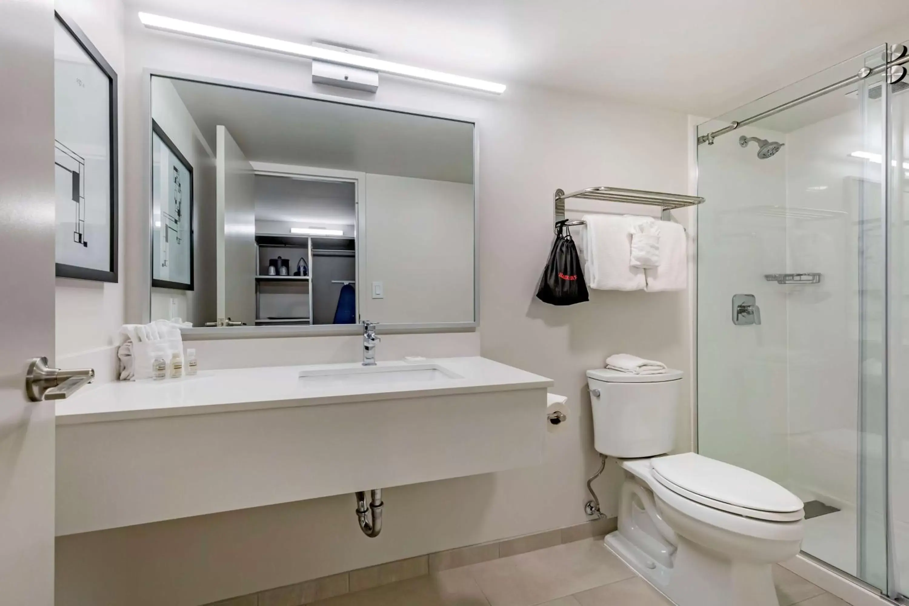 Bathroom in Best Western Premier Rockville Hotel & Suites