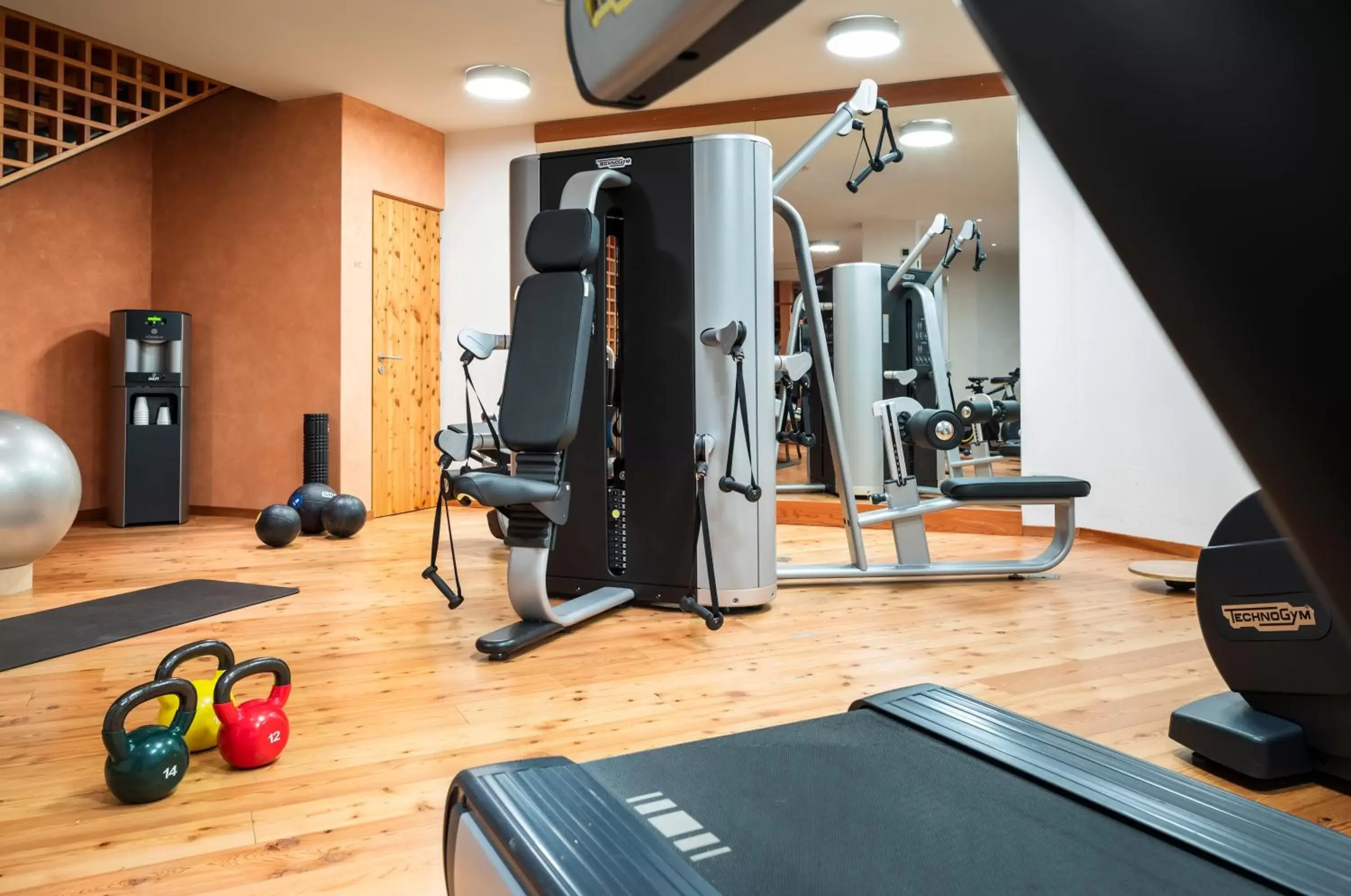 Fitness centre/facilities, Fitness Center/Facilities in Grand Hotel Zermatterhof