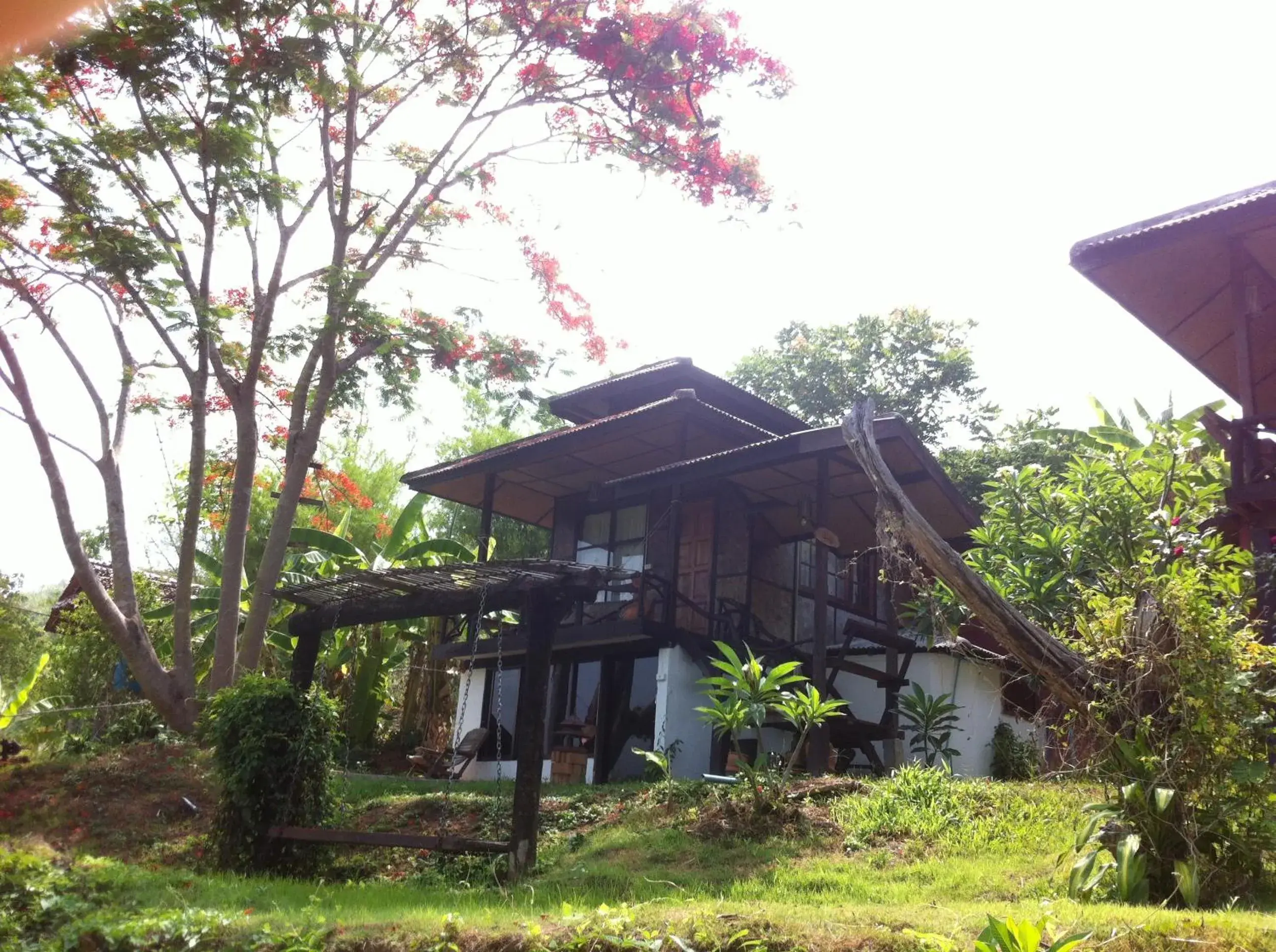 Photo of the whole room, Property Building in Chang Pai Resort