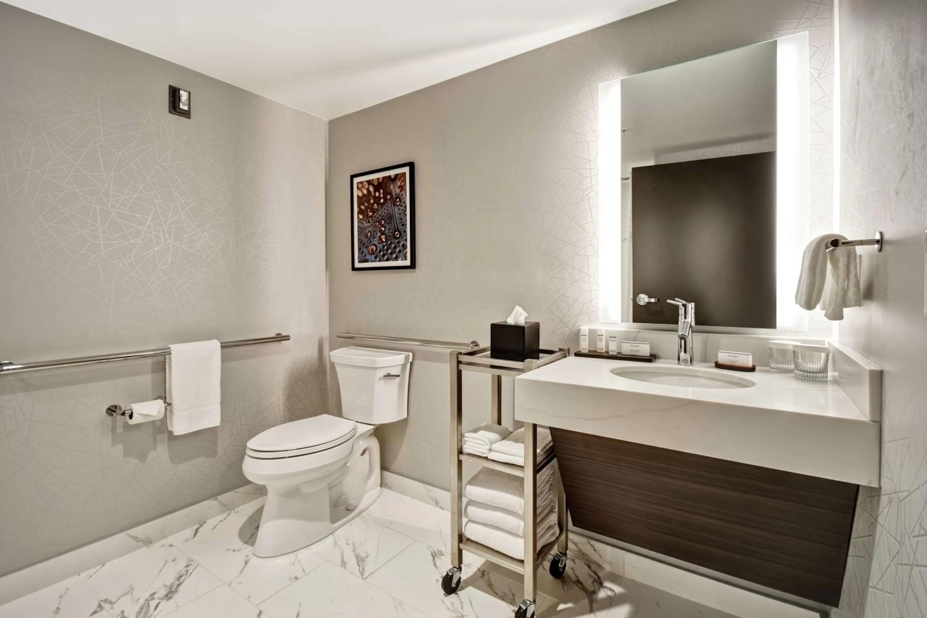 Toilet in Embassy Suites by Hilton Santa Clara Silicon Valley