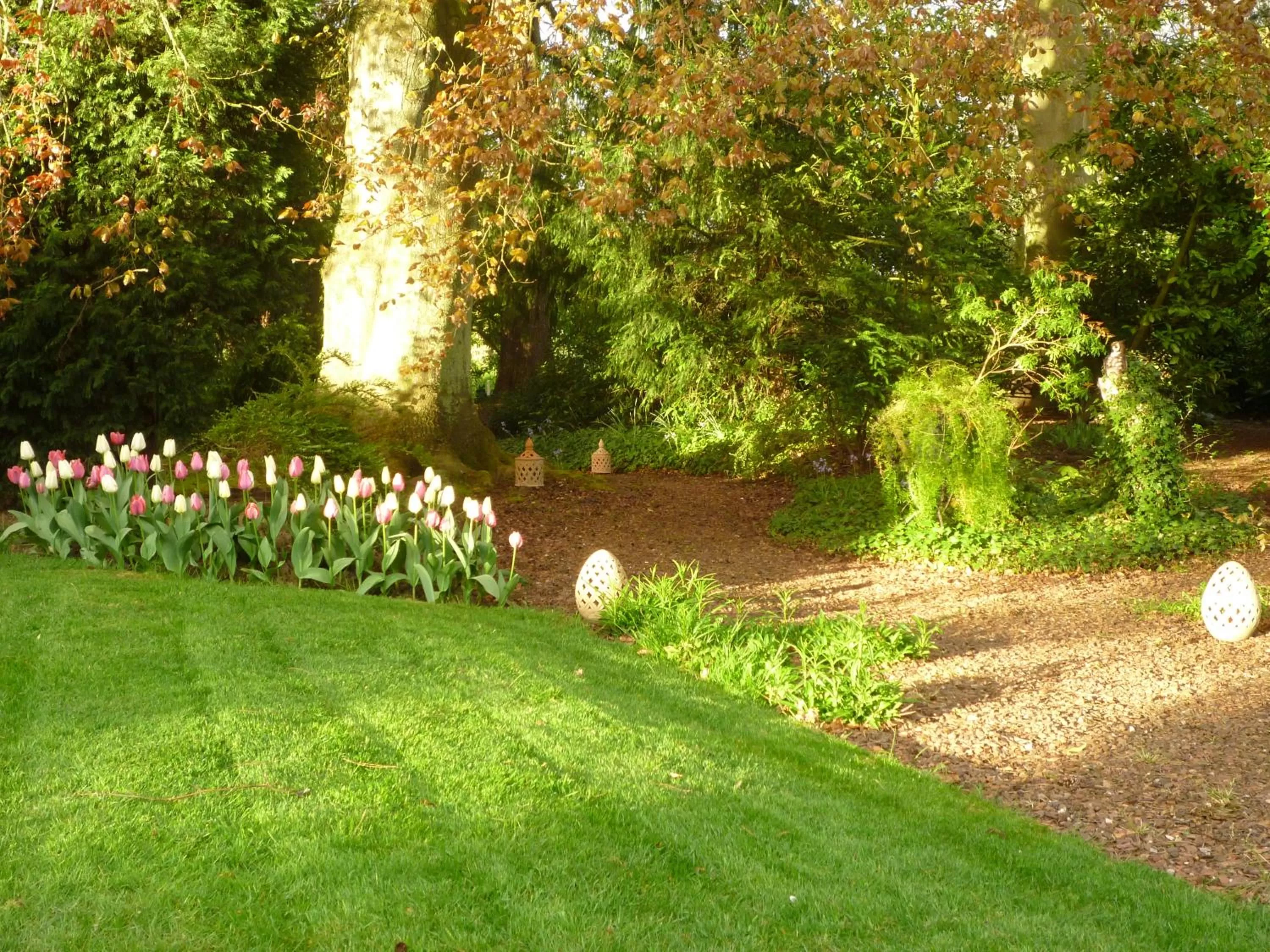 Garden view in au vieux cèdre