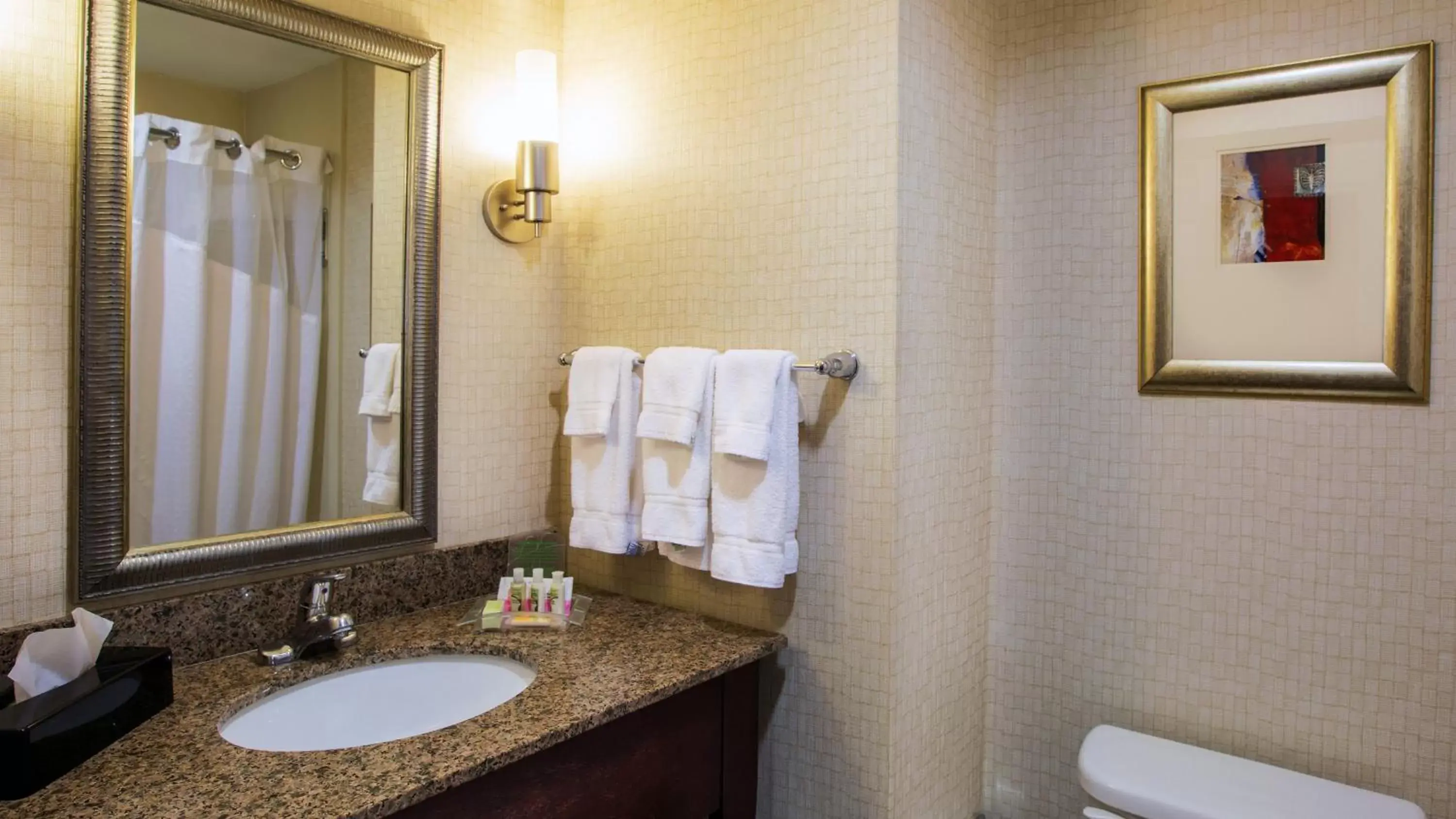 Photo of the whole room, Bathroom in Holiday Inn Oklahoma City Airport, an IHG Hotel