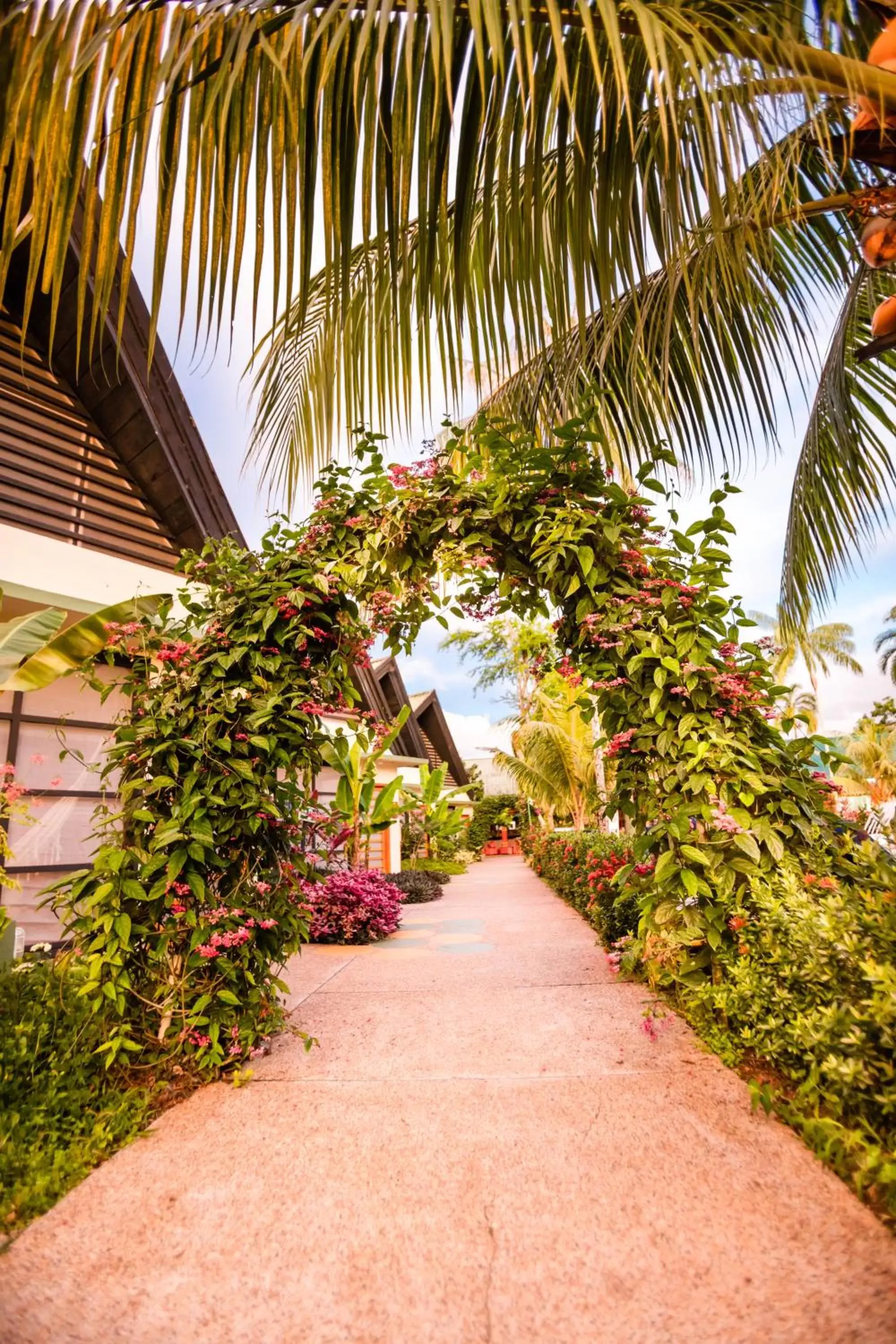 Natural landscape in Decameron Decalodge Ticuna