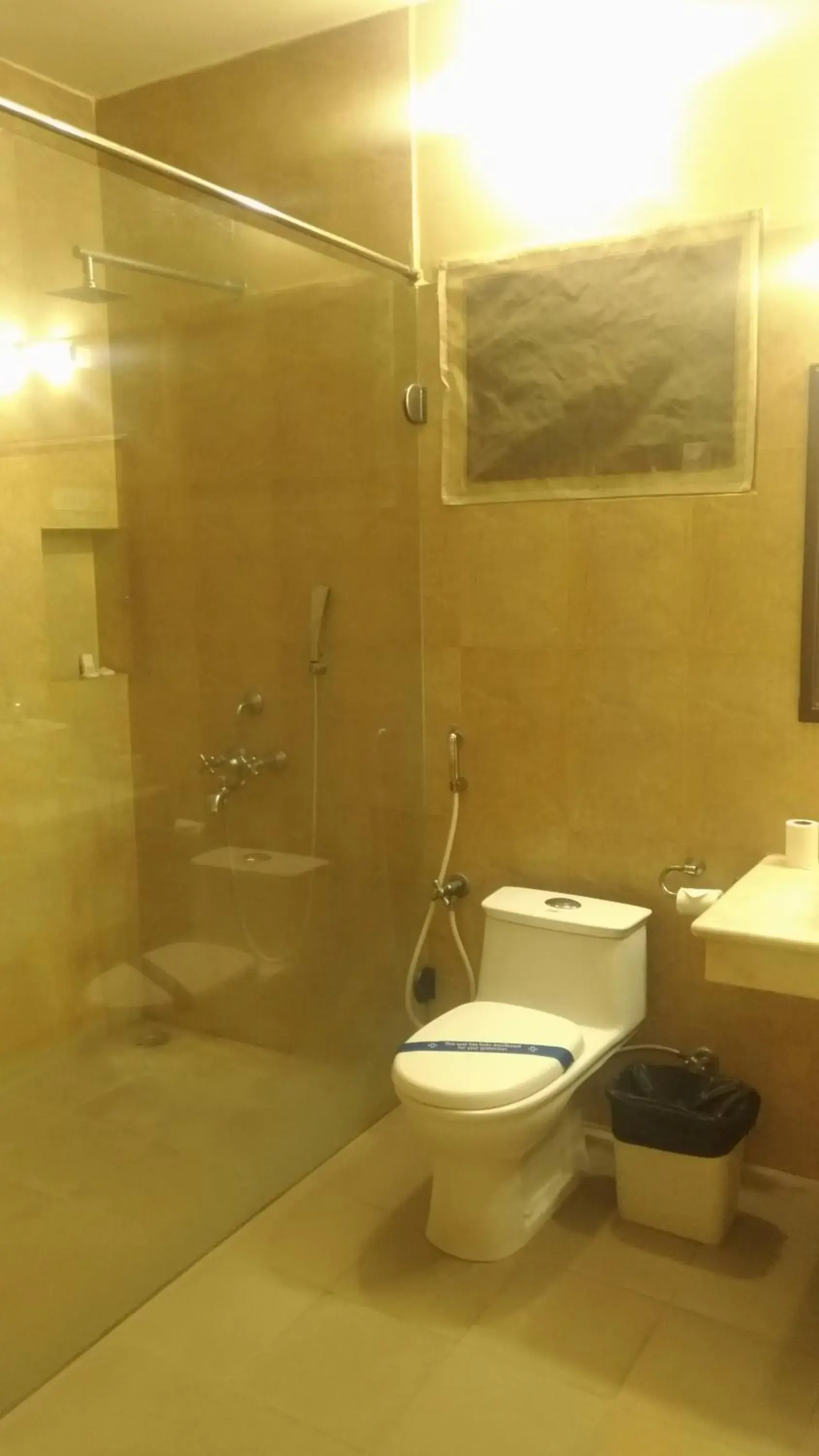 Toilet, Bathroom in Hanu Reddy Residences Poes Garden