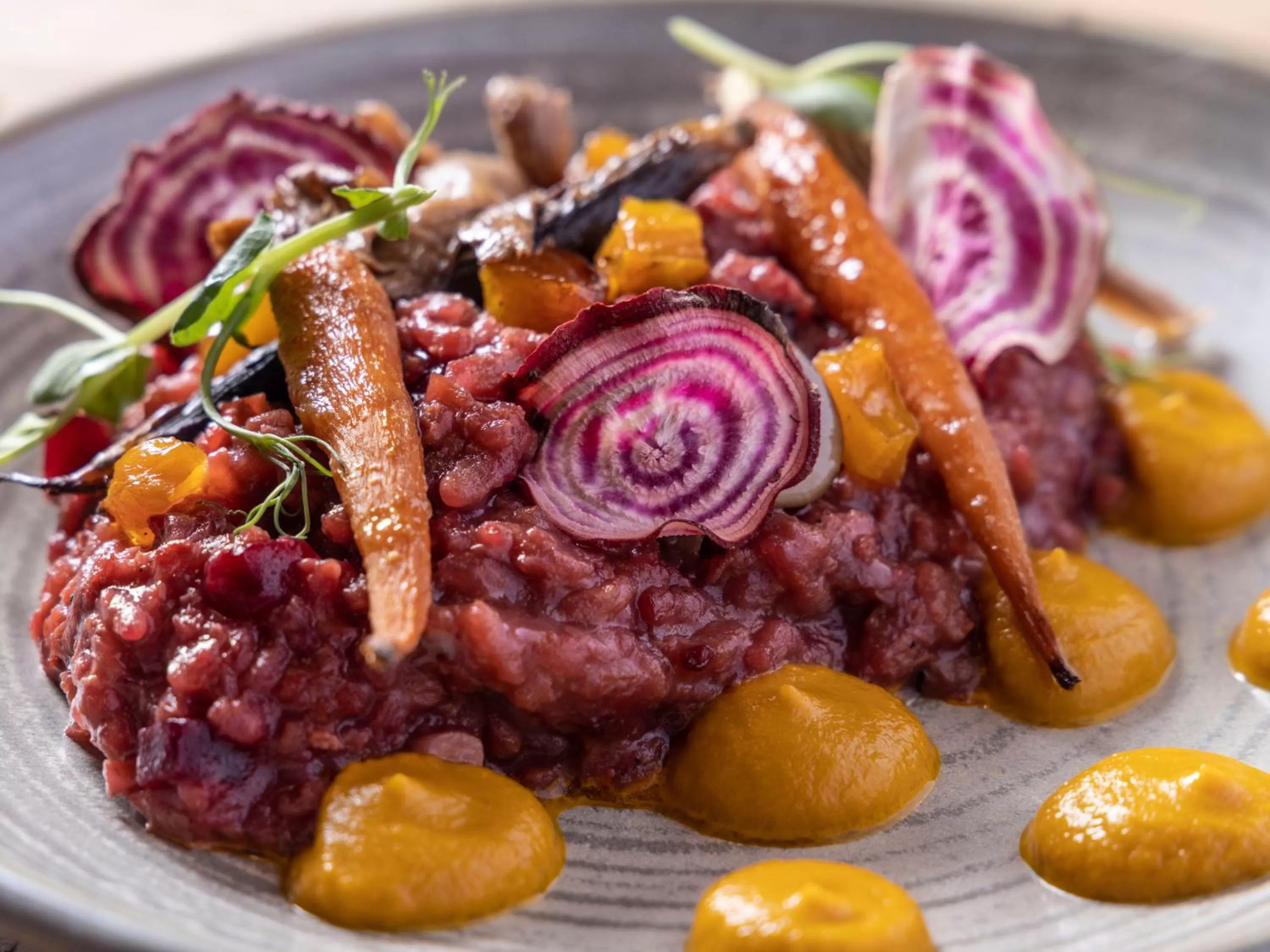 Dinner in Wren Urban Nest