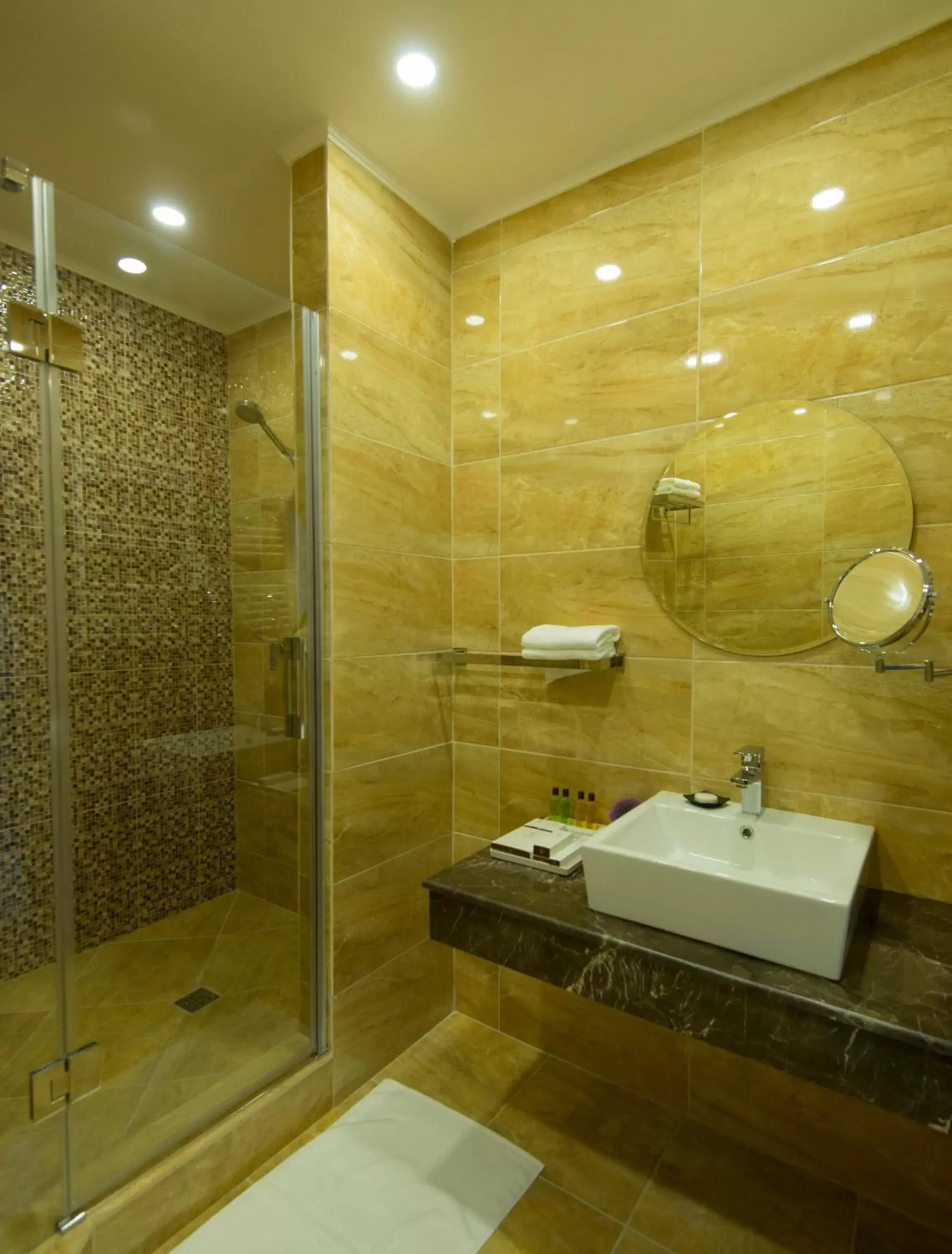 Shower, Bathroom in Bristol Central Park Hotel