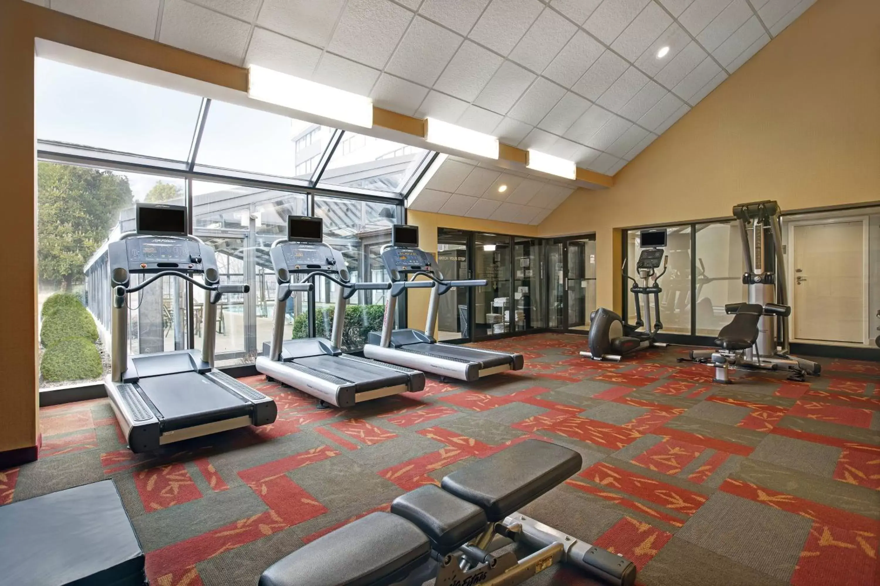 Fitness centre/facilities, Fitness Center/Facilities in Courtyard Chicago Elmhurst/Oakbrook Area