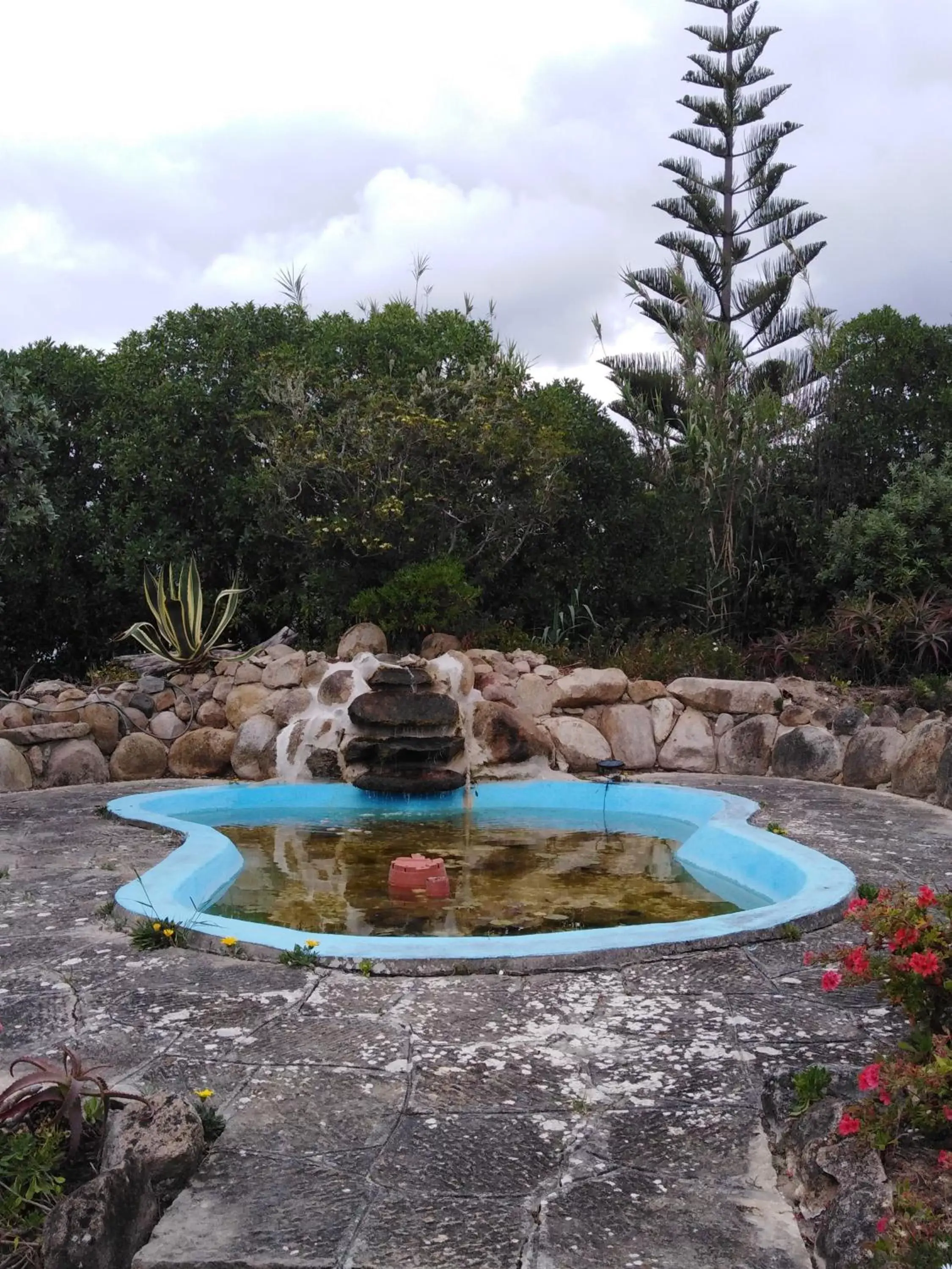 Garden, Swimming Pool in Alto da Praia Villa