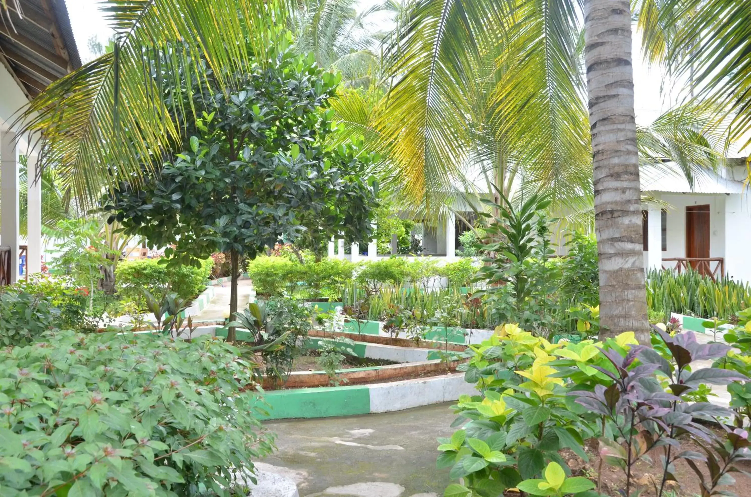 Garden in Bagamoyo Spice Villa