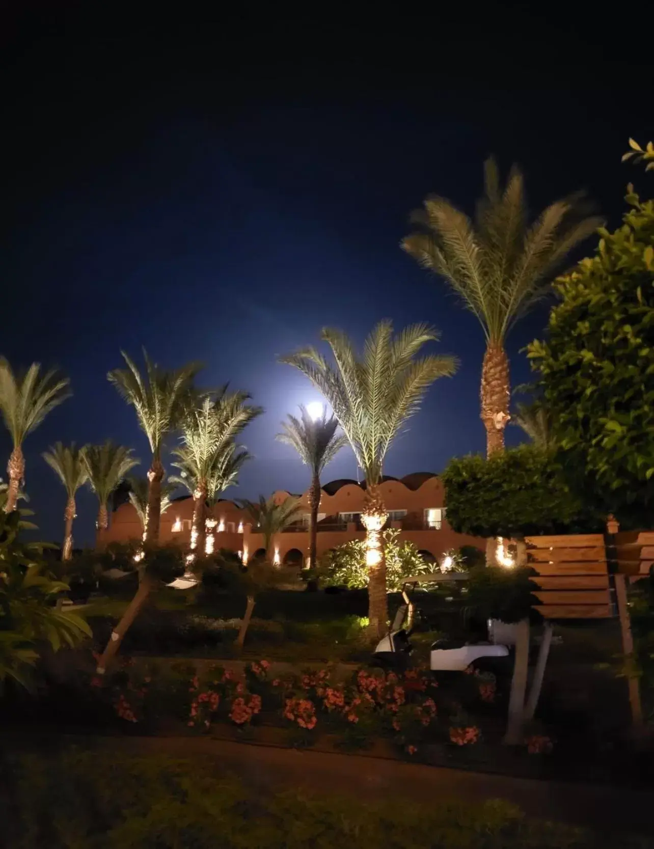 Night in Novotel Marsa Alam Beach Resort