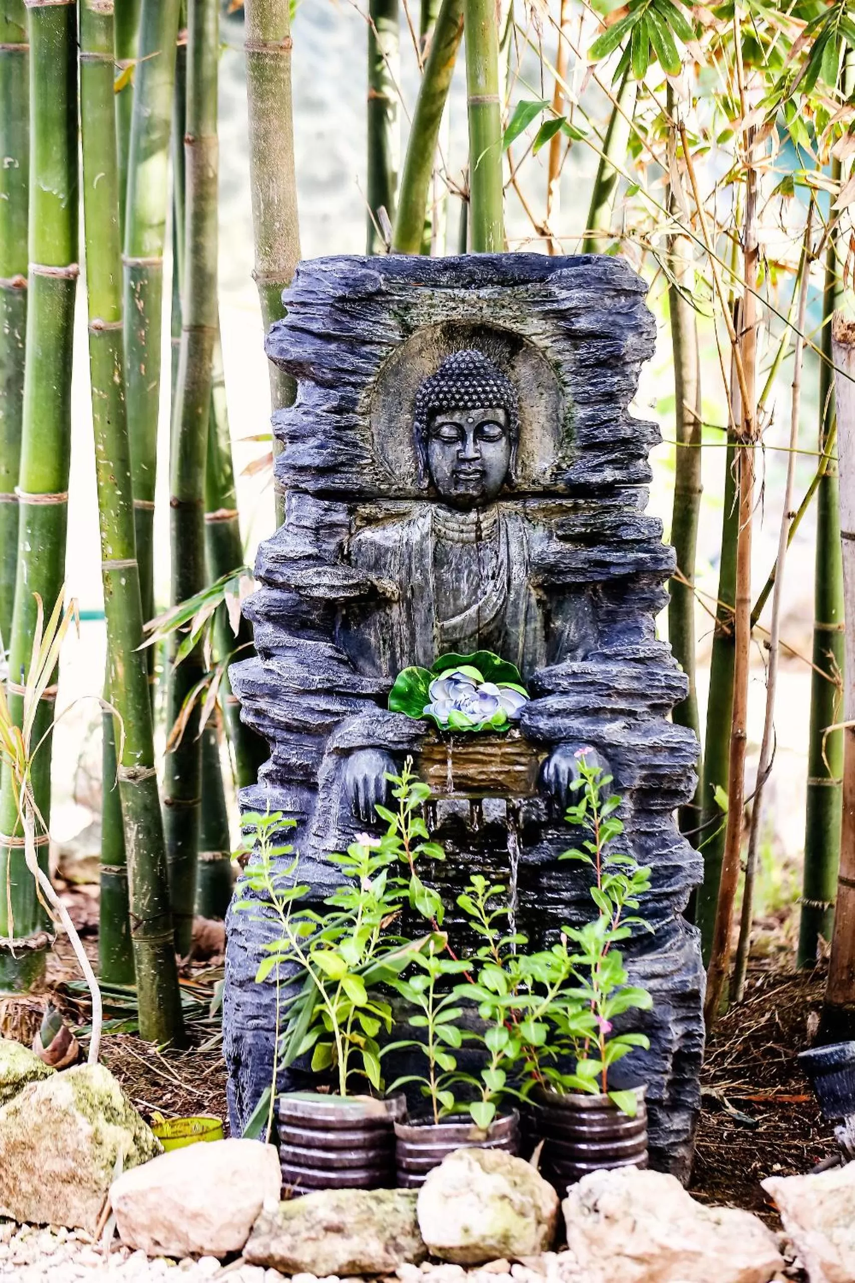 Garden, Patio/Outdoor Area in Harmony Glamping Boutique Hotel and Yoga