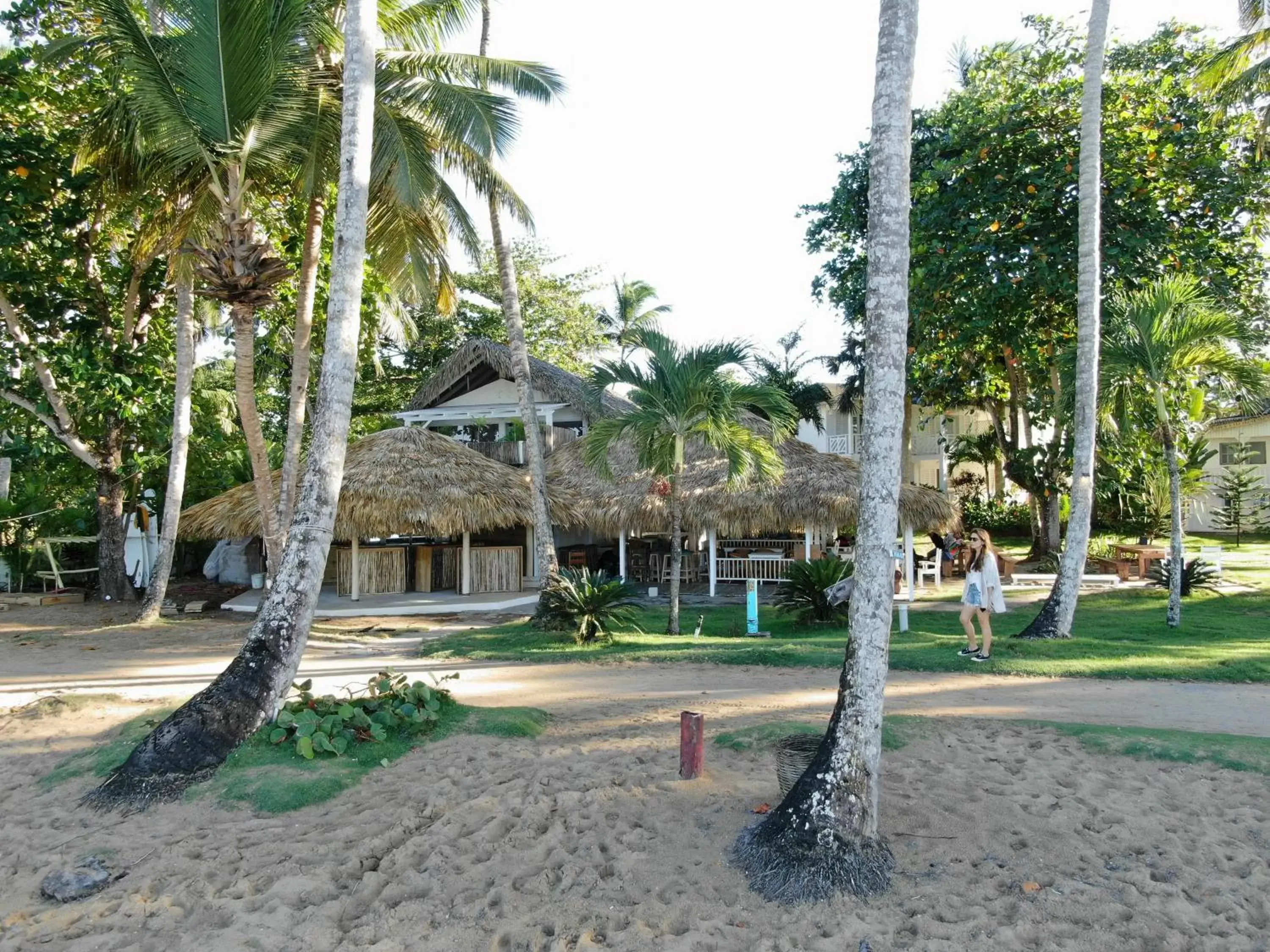 Property Building in El Mosquito Boutique Hotel Playa Bonita