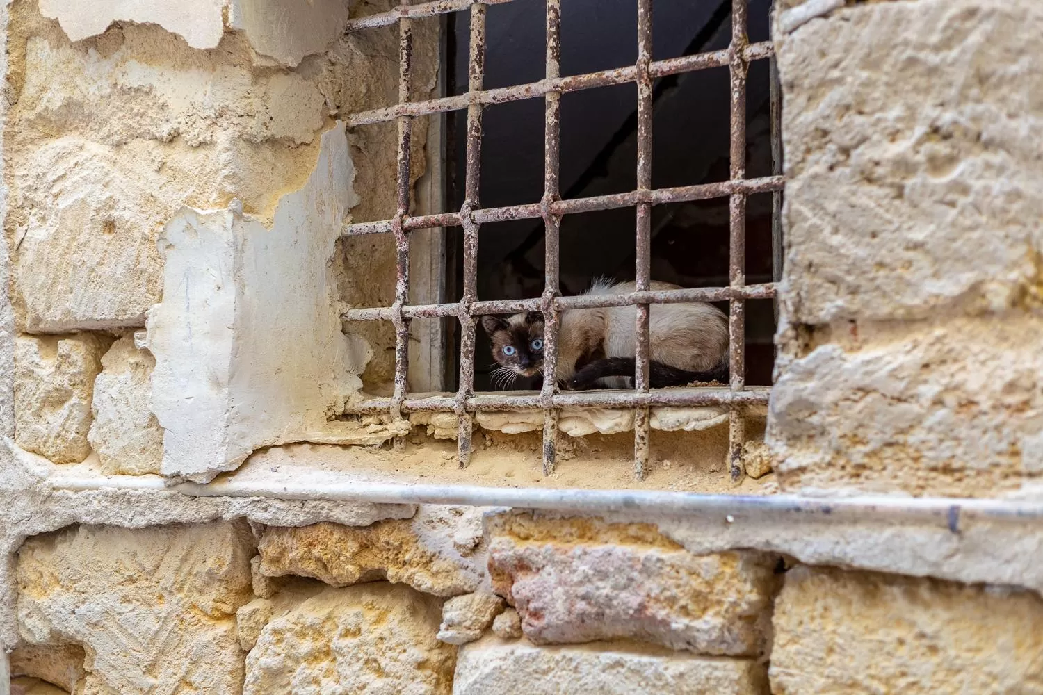 Neighbourhood in BnB Sant'Alfonso