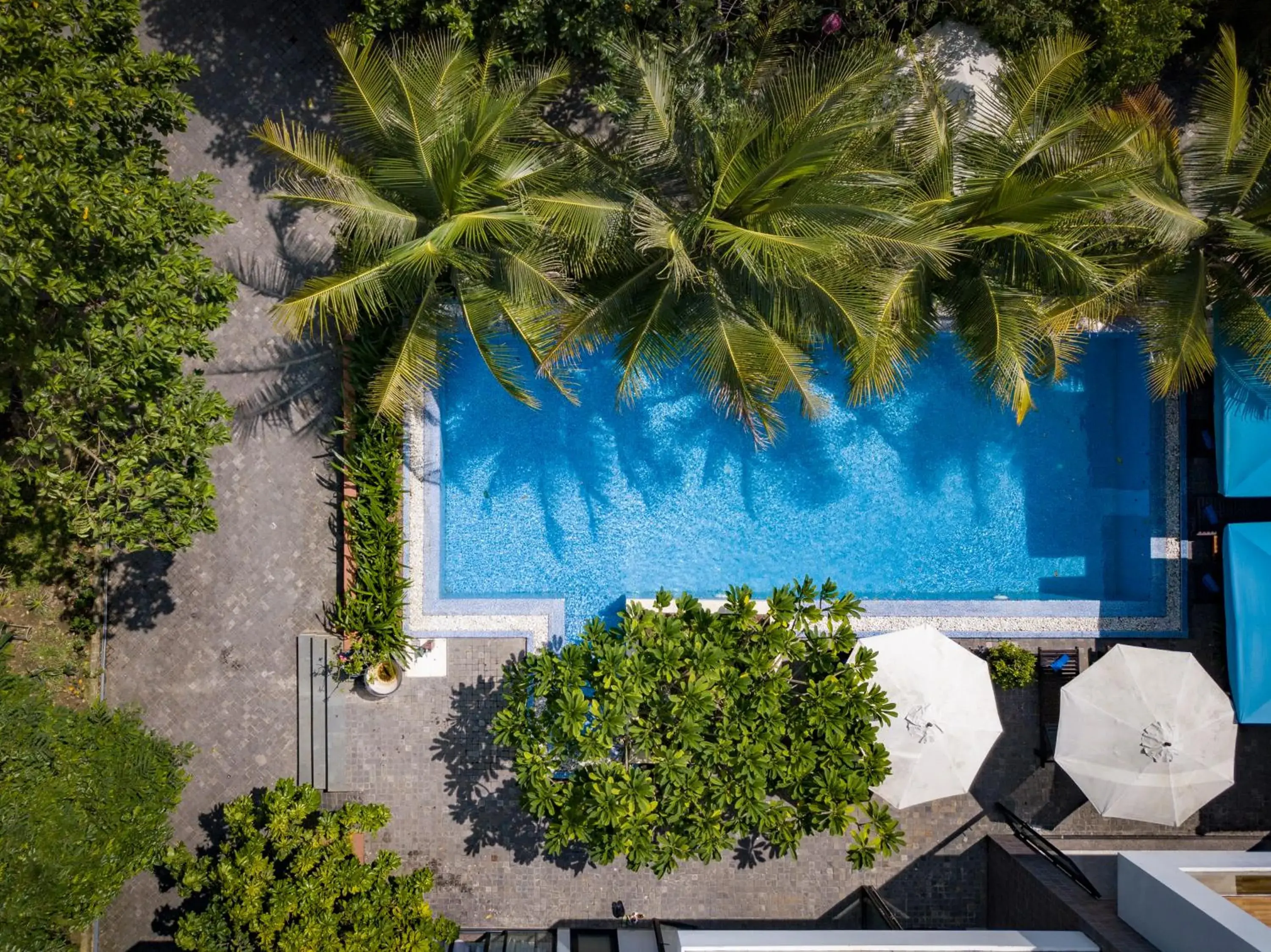 Swimming pool, Pool View in Hoi An Reverie Villas