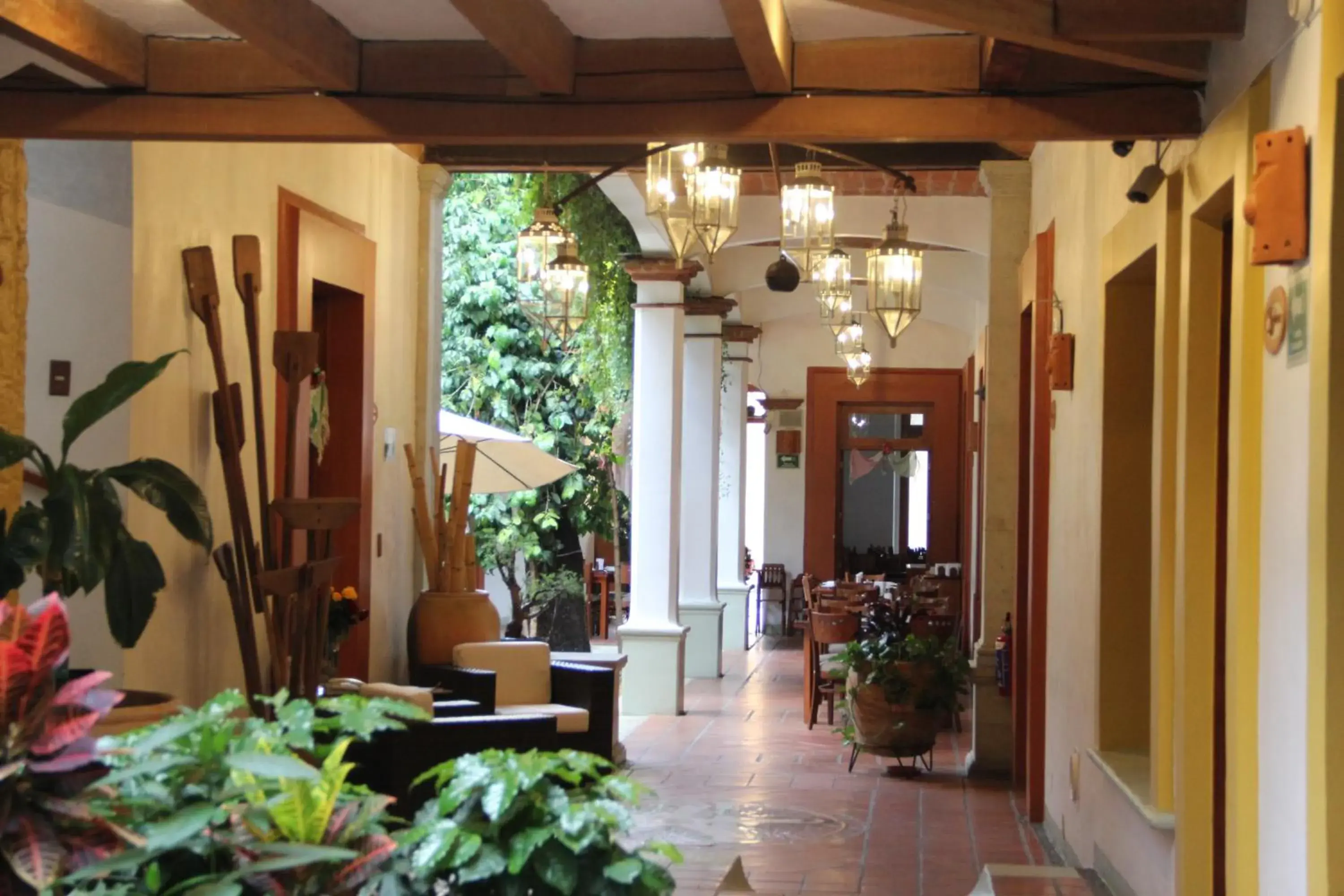 Restaurant/places to eat in Hotel Casa Vertiz