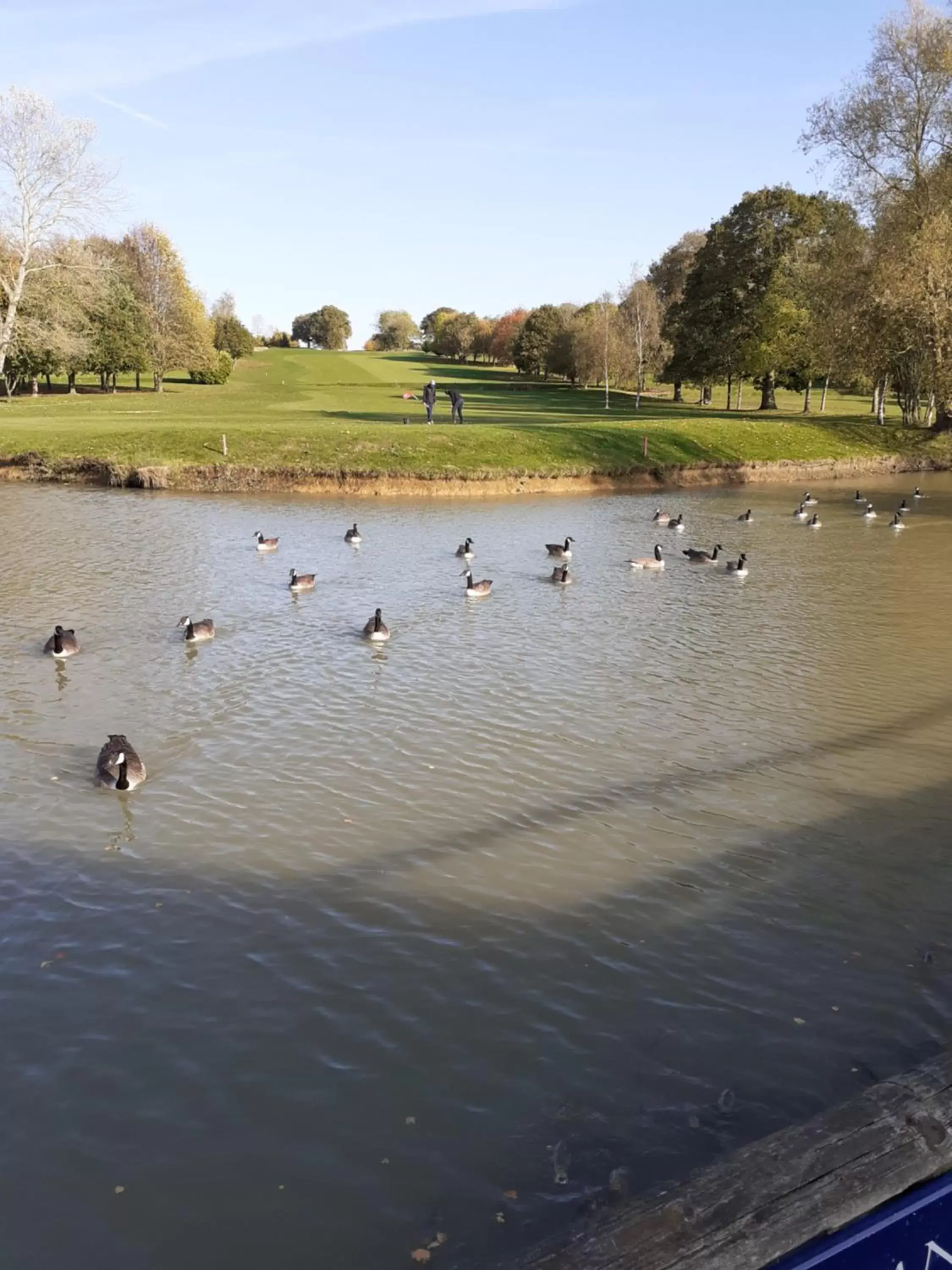 Natural landscape, Beach in Weald of Kent Golf Course and Hotel