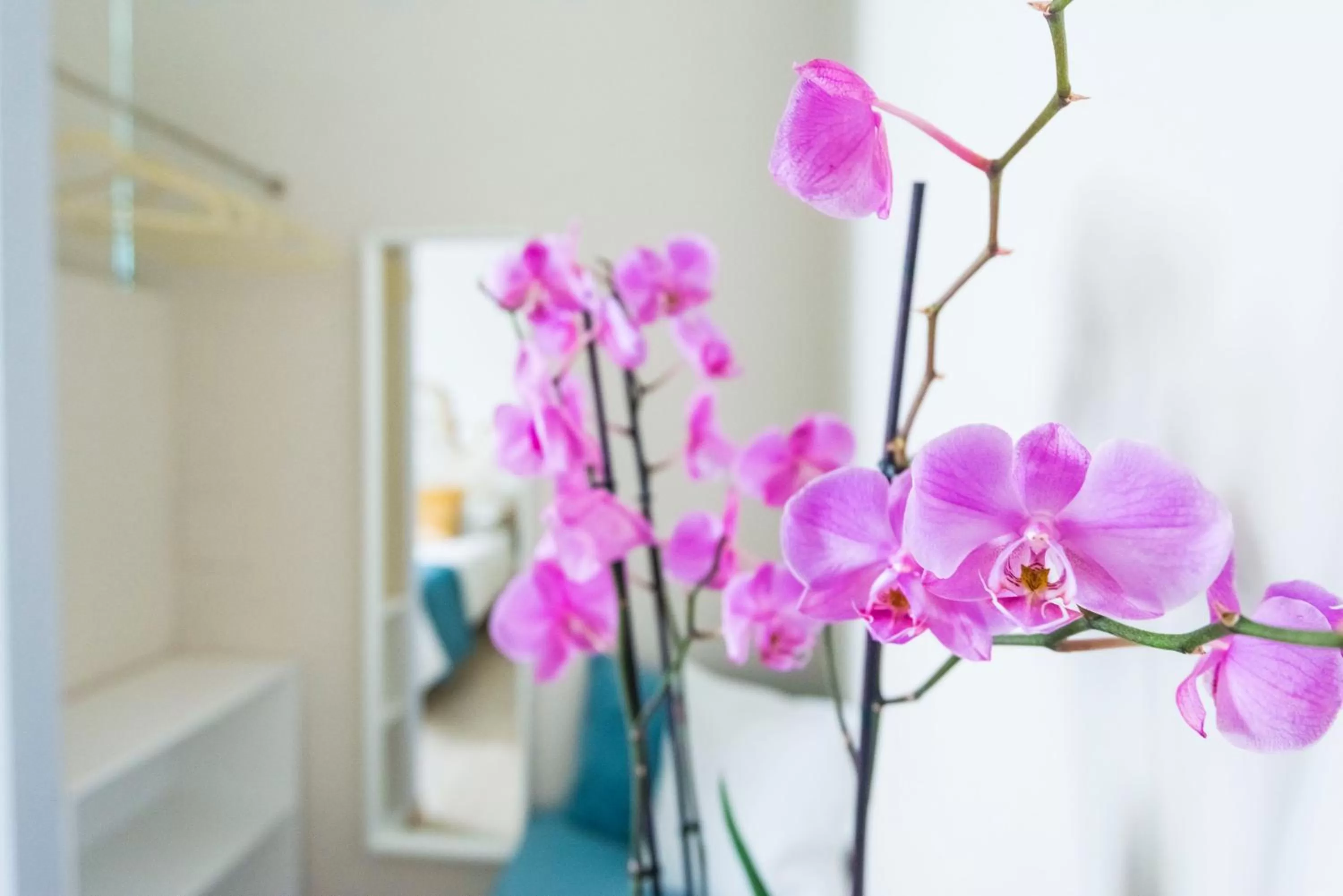 Decorative detail in Villa Savioli Room & Breakfast