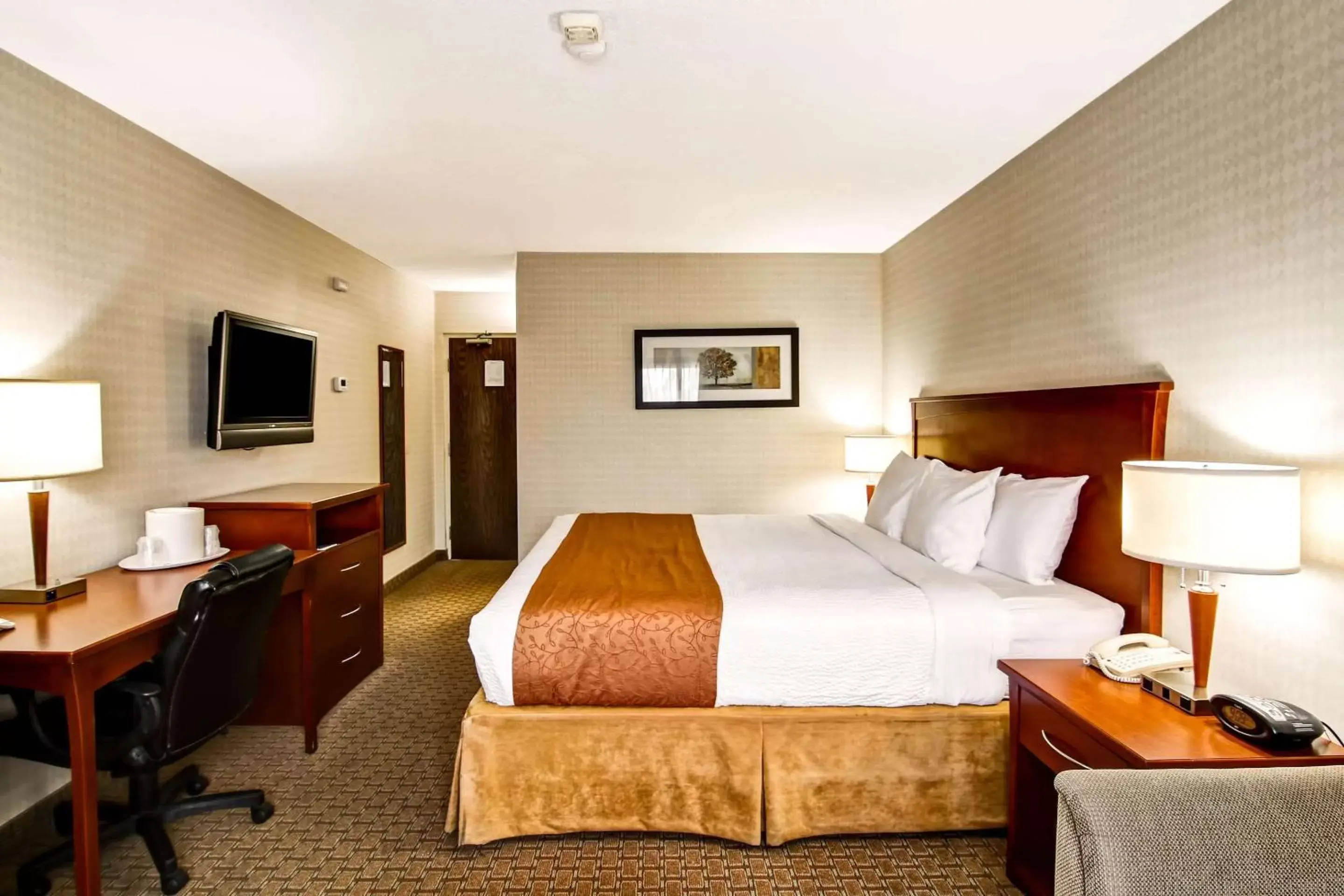 Photo of the whole room, Bed in Quality Inn Photo of the whole room, Bed in Quality Inn