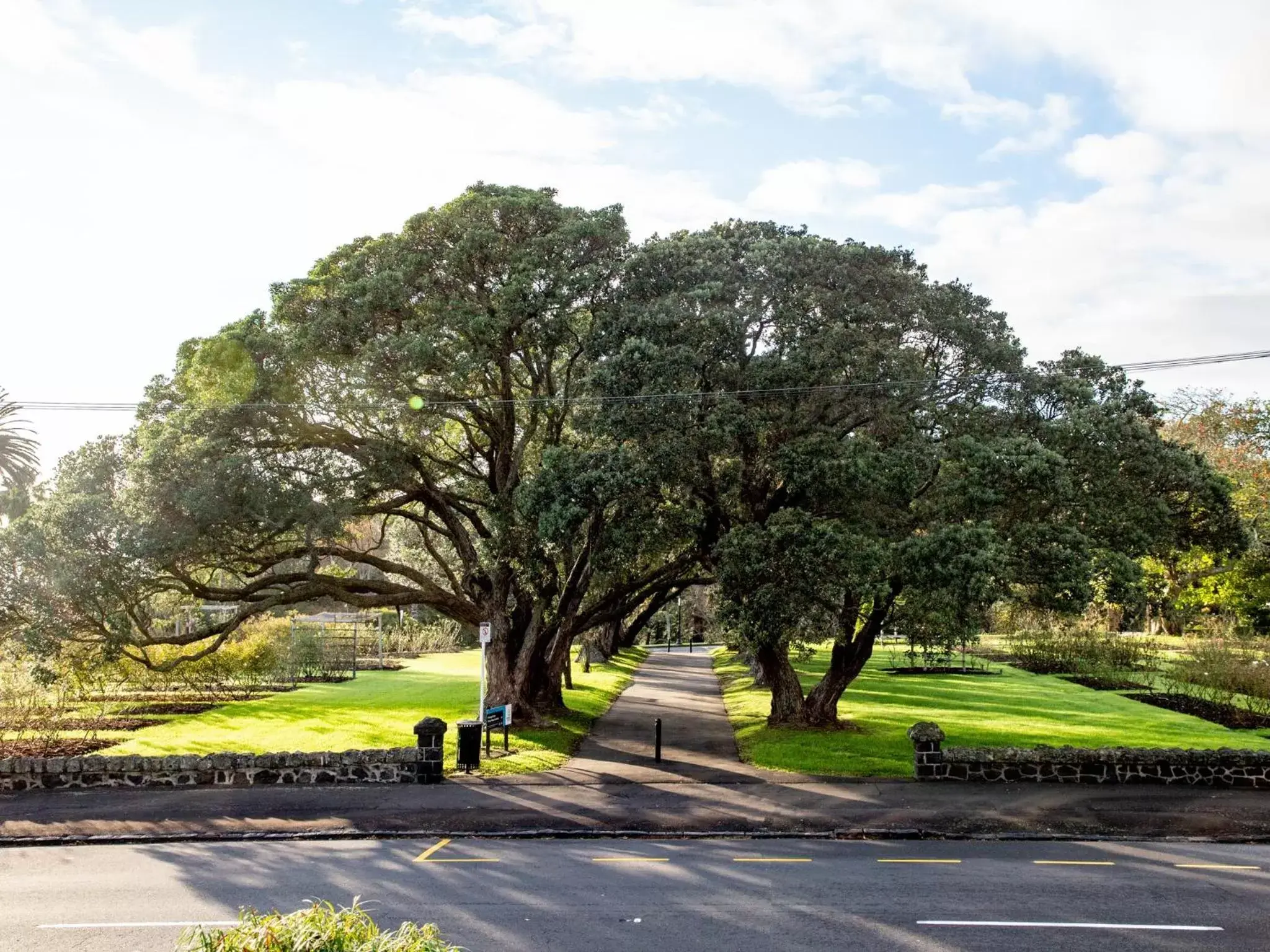 Natural landscape in Auckland Rose Park Hotel