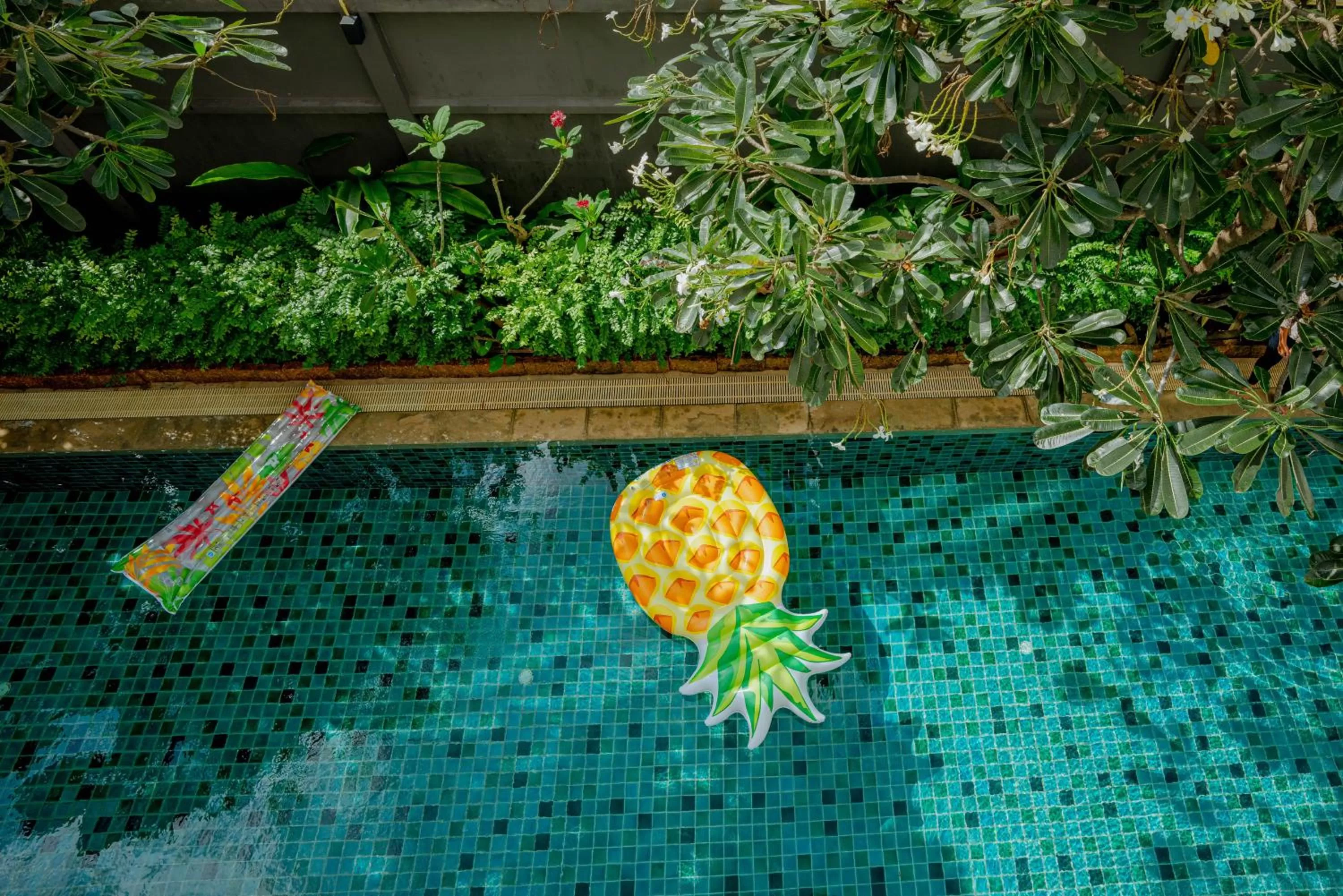 Pool view in Peace Land Khaosan