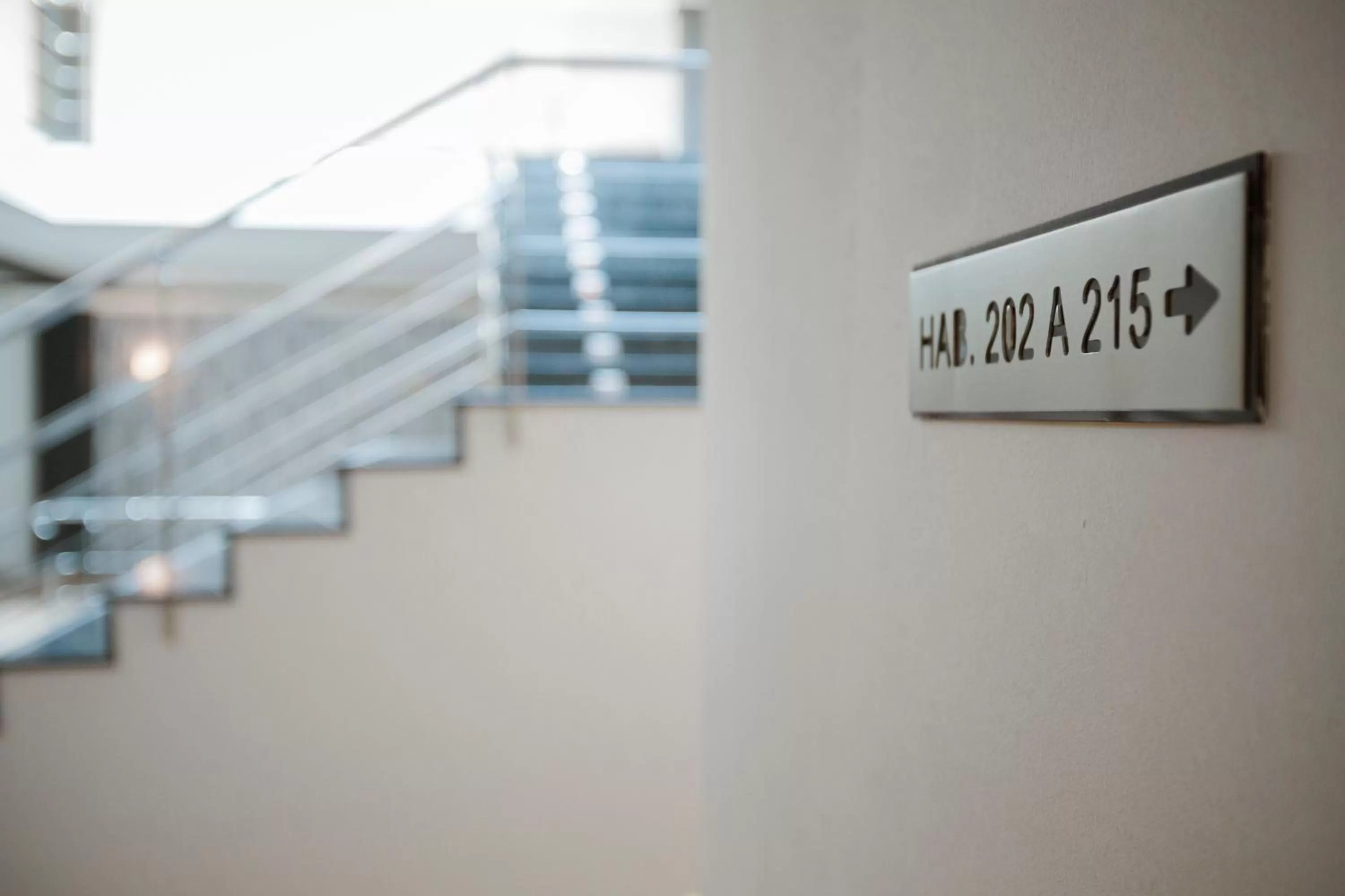 Area and facilities in Hotel Alfonso I