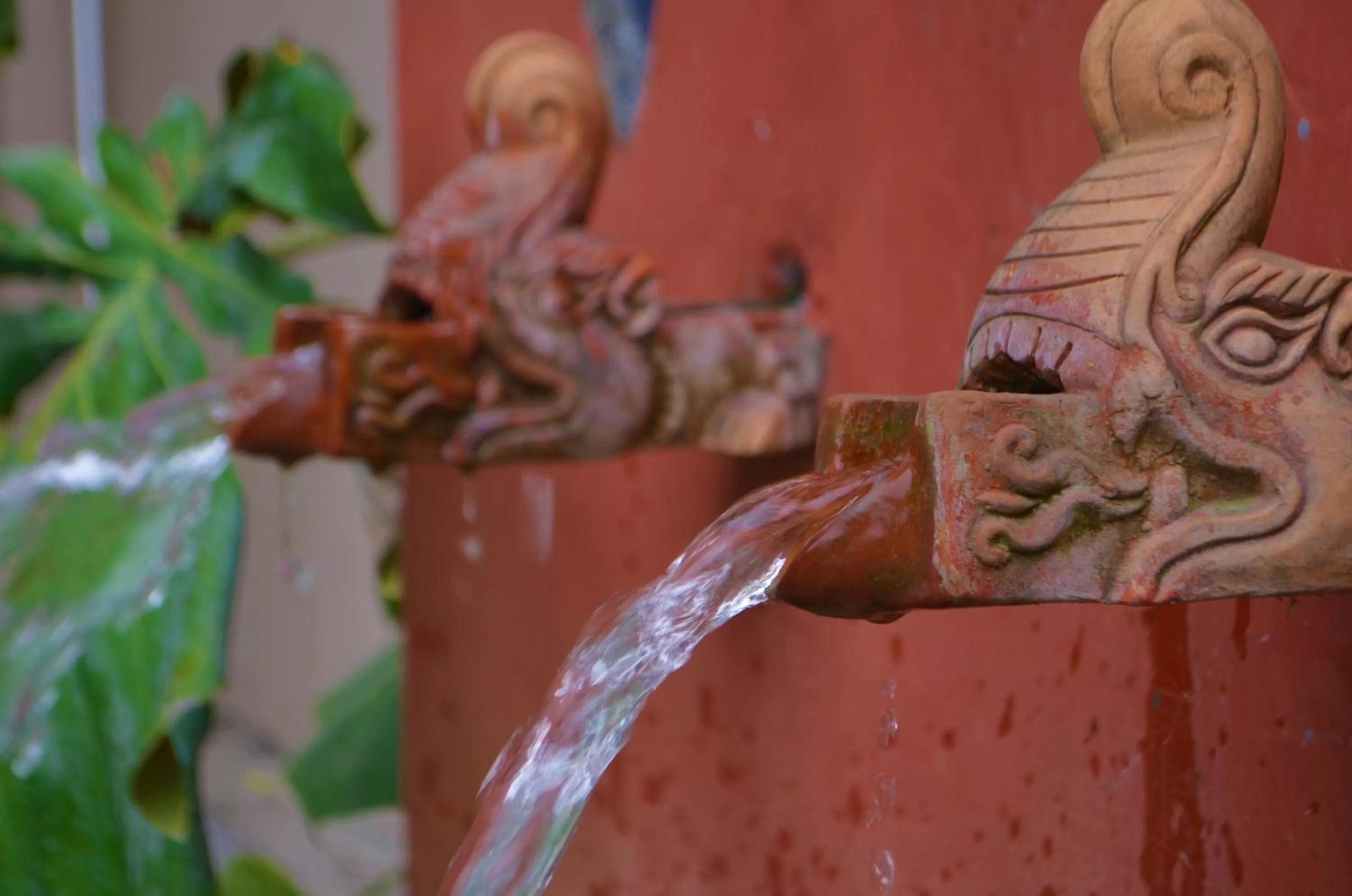 Garden in Hotel Karuna