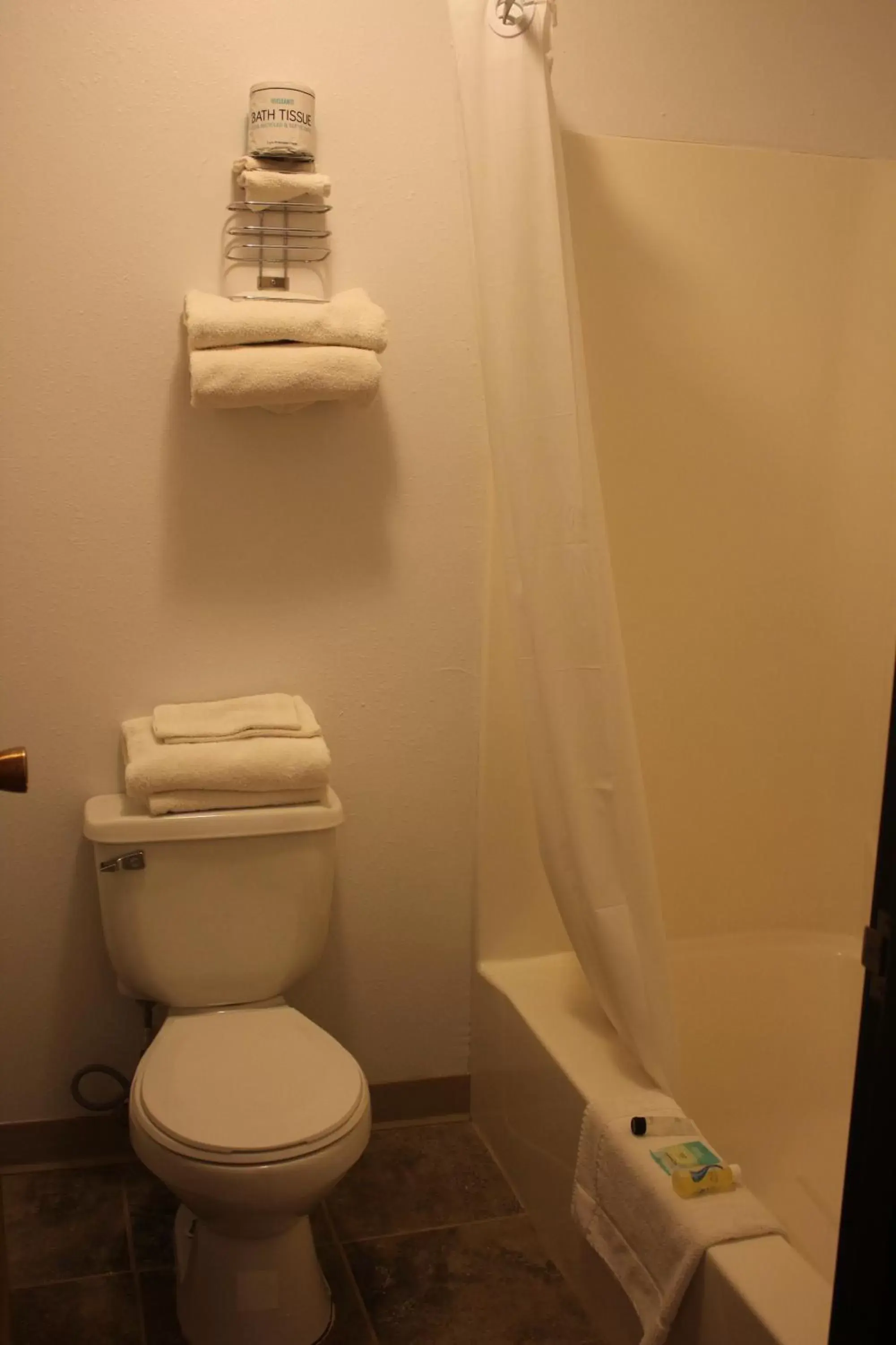 Bathroom in Rodeway Inn Gateway to Medora T-Roosevelt & Makoshika State Park