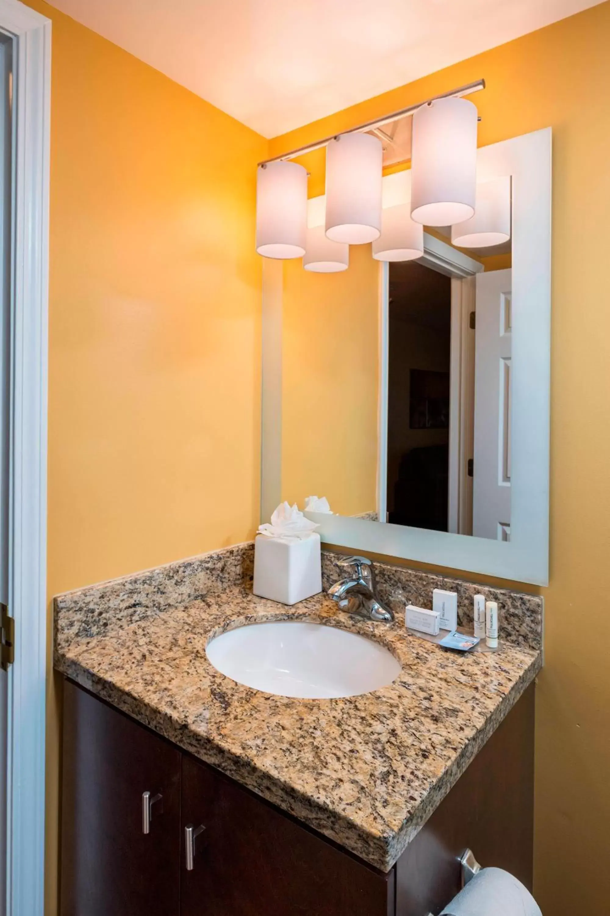 Bathroom in TownePlace Suites by Marriott Atlanta Kennesaw